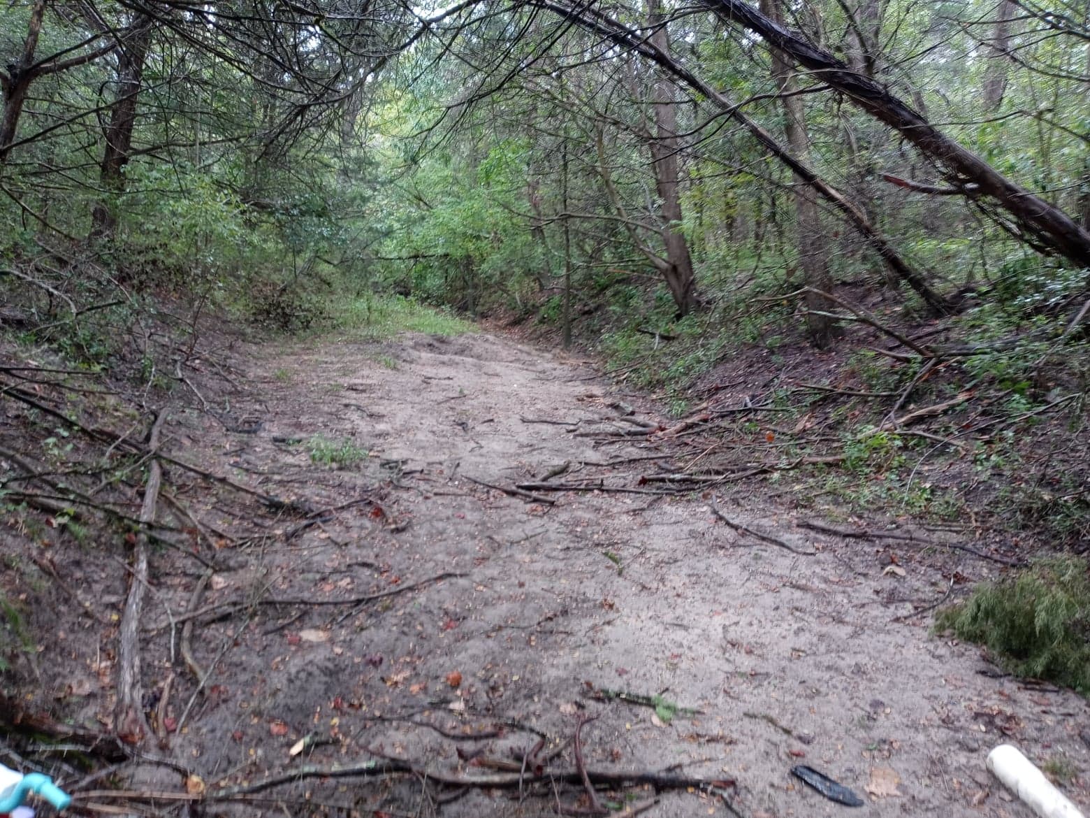 Seasonal creek (fills up with 2-3 inches of rain)