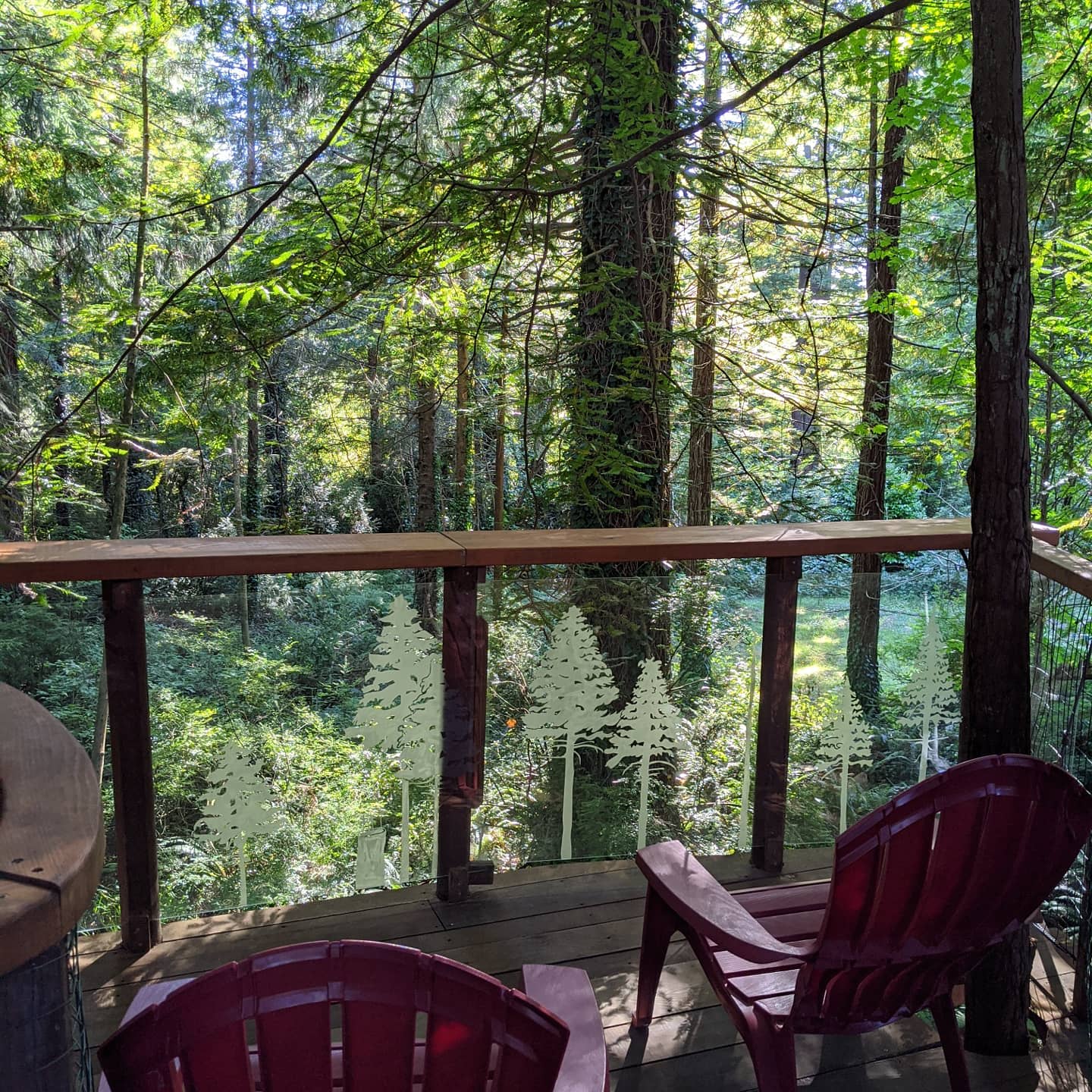 Redwood Retreat