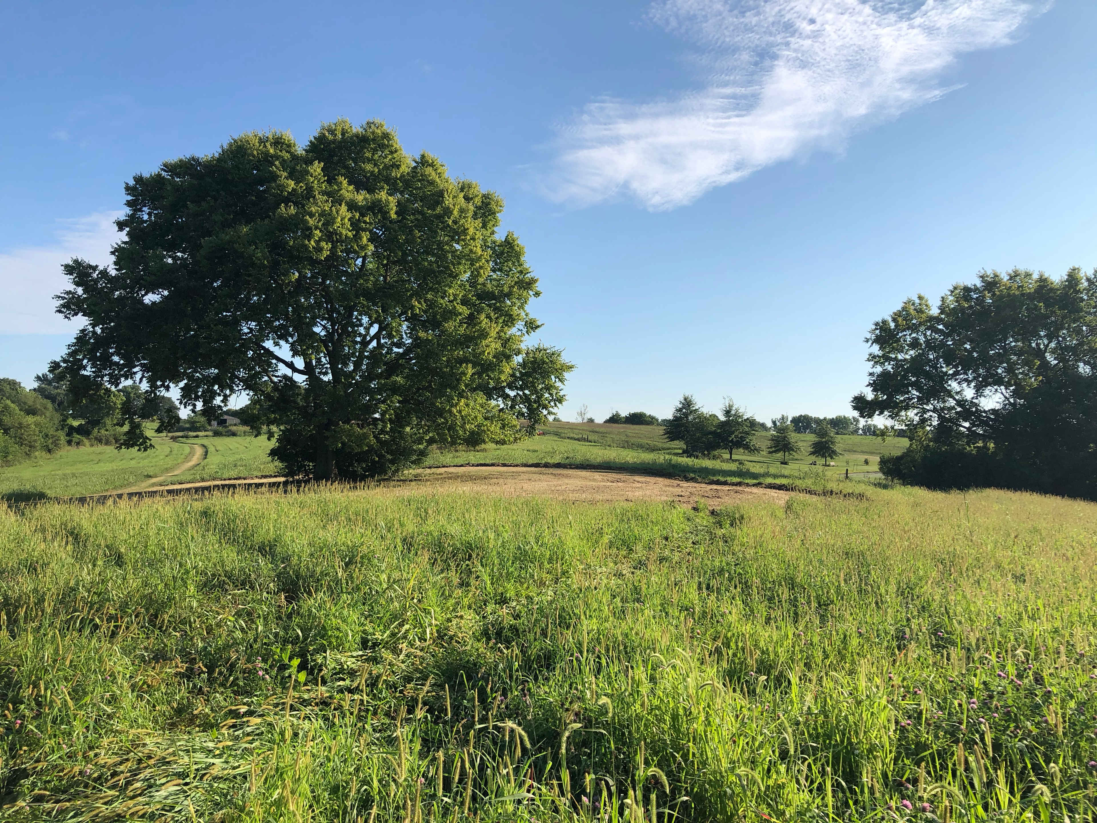 Perdue Homestead Farm