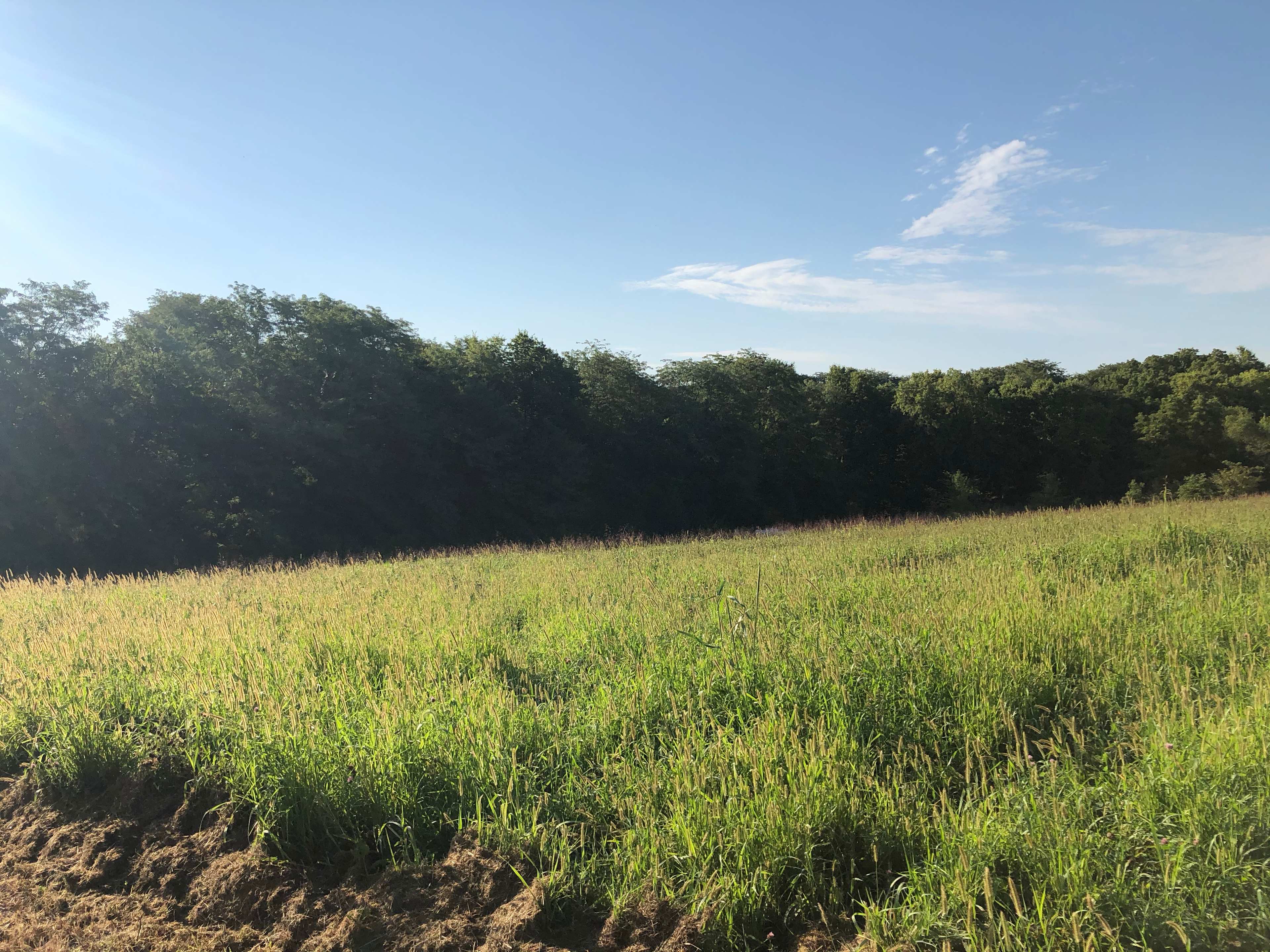 Perdue Homestead Farm