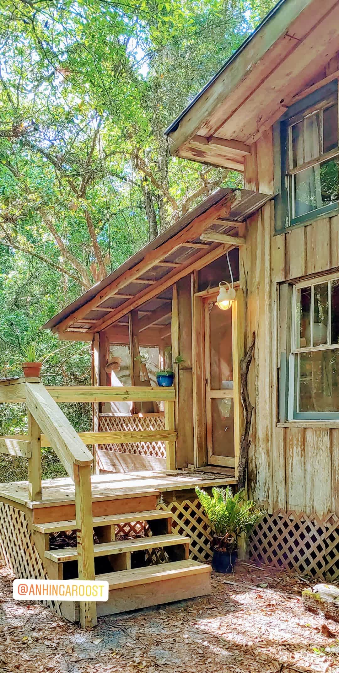 Enchanting Old Florida Homestead
