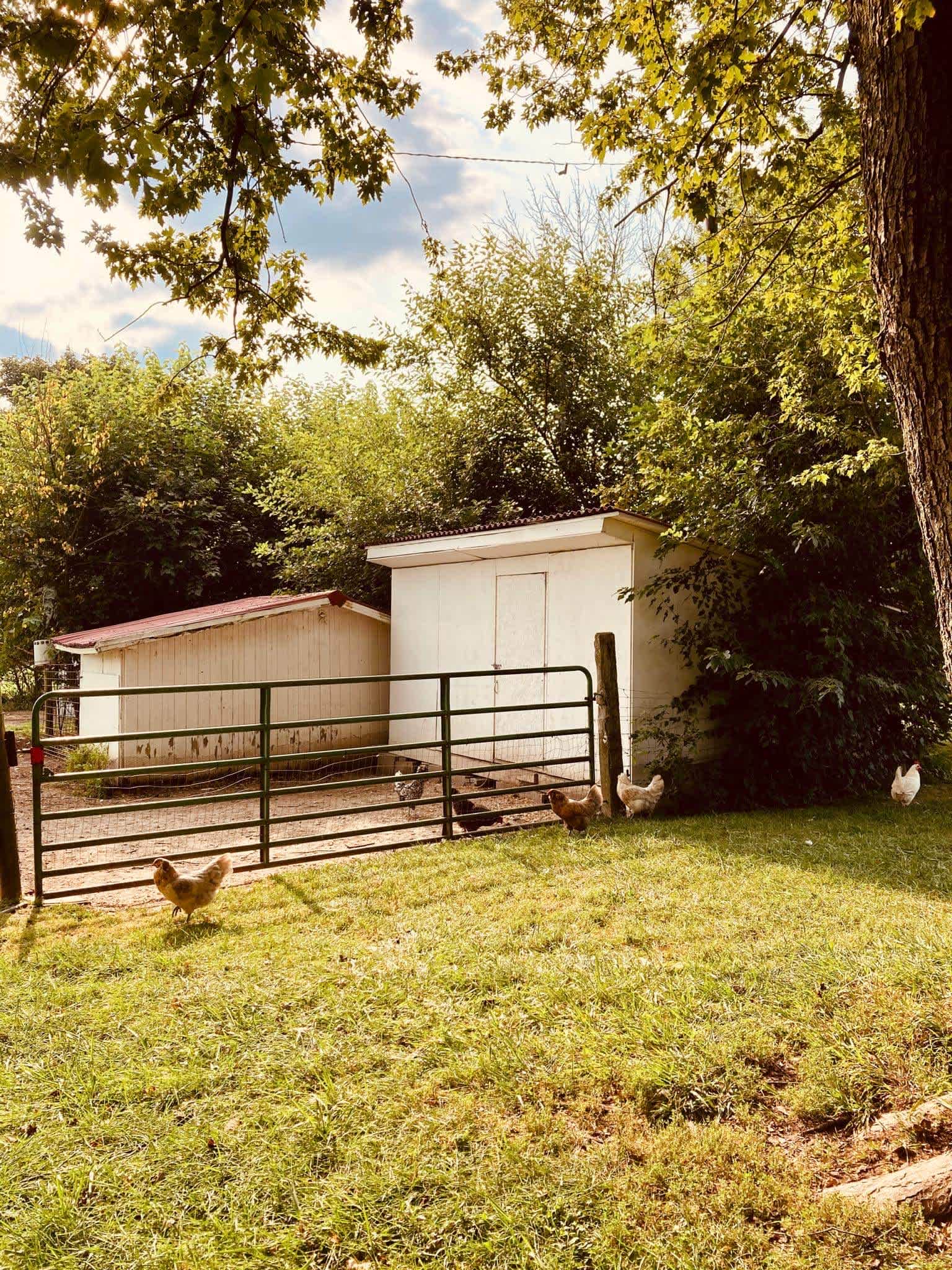 Heavenly Acres Creekside Camp