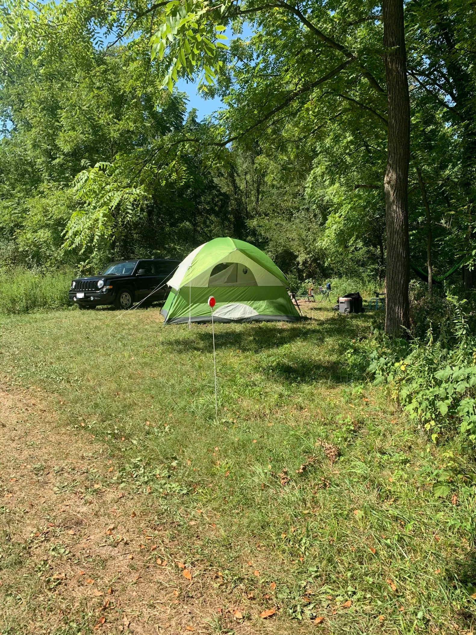 Picture of the site