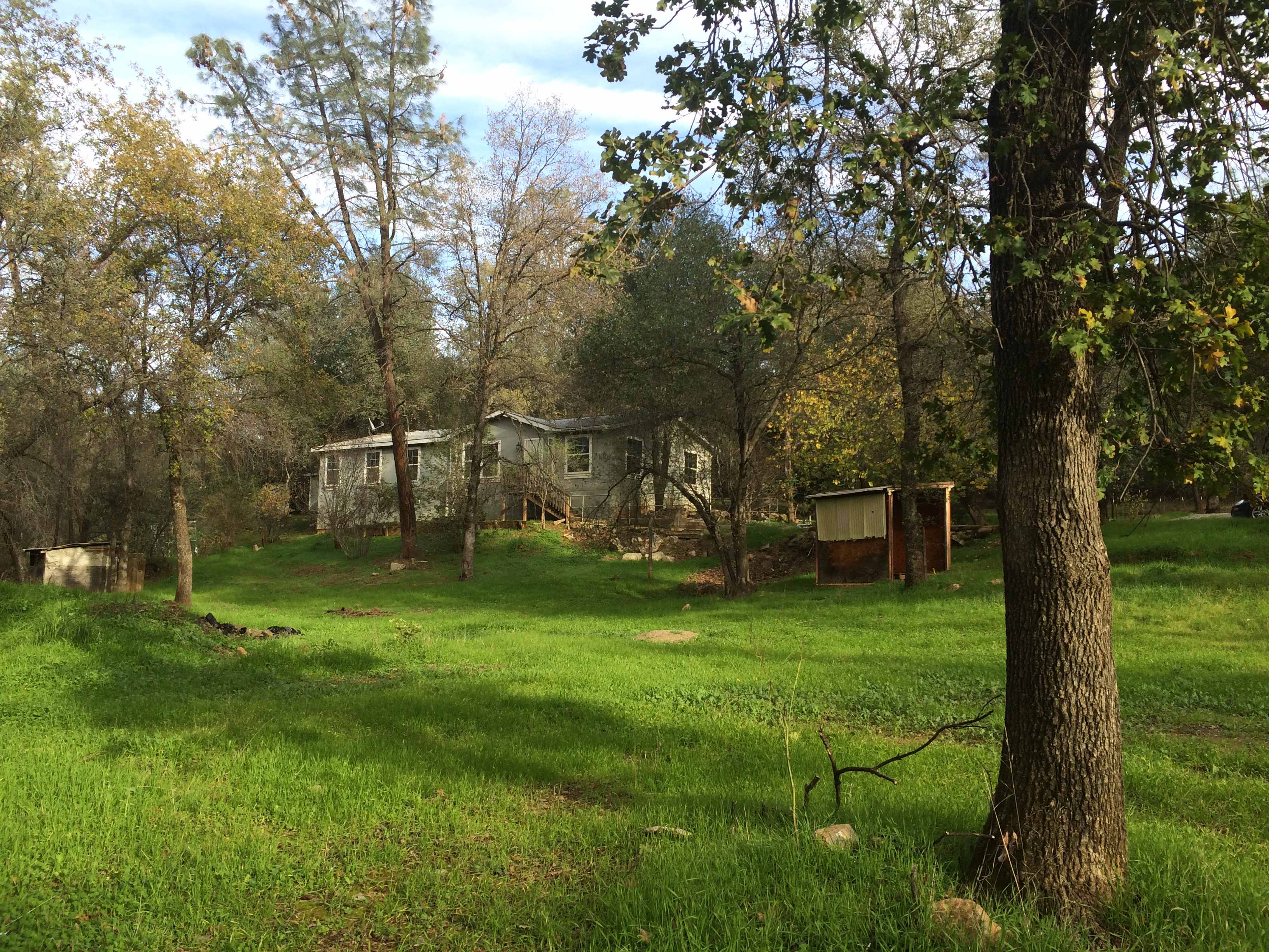 Secluded High Creek Side Cabin-Deck