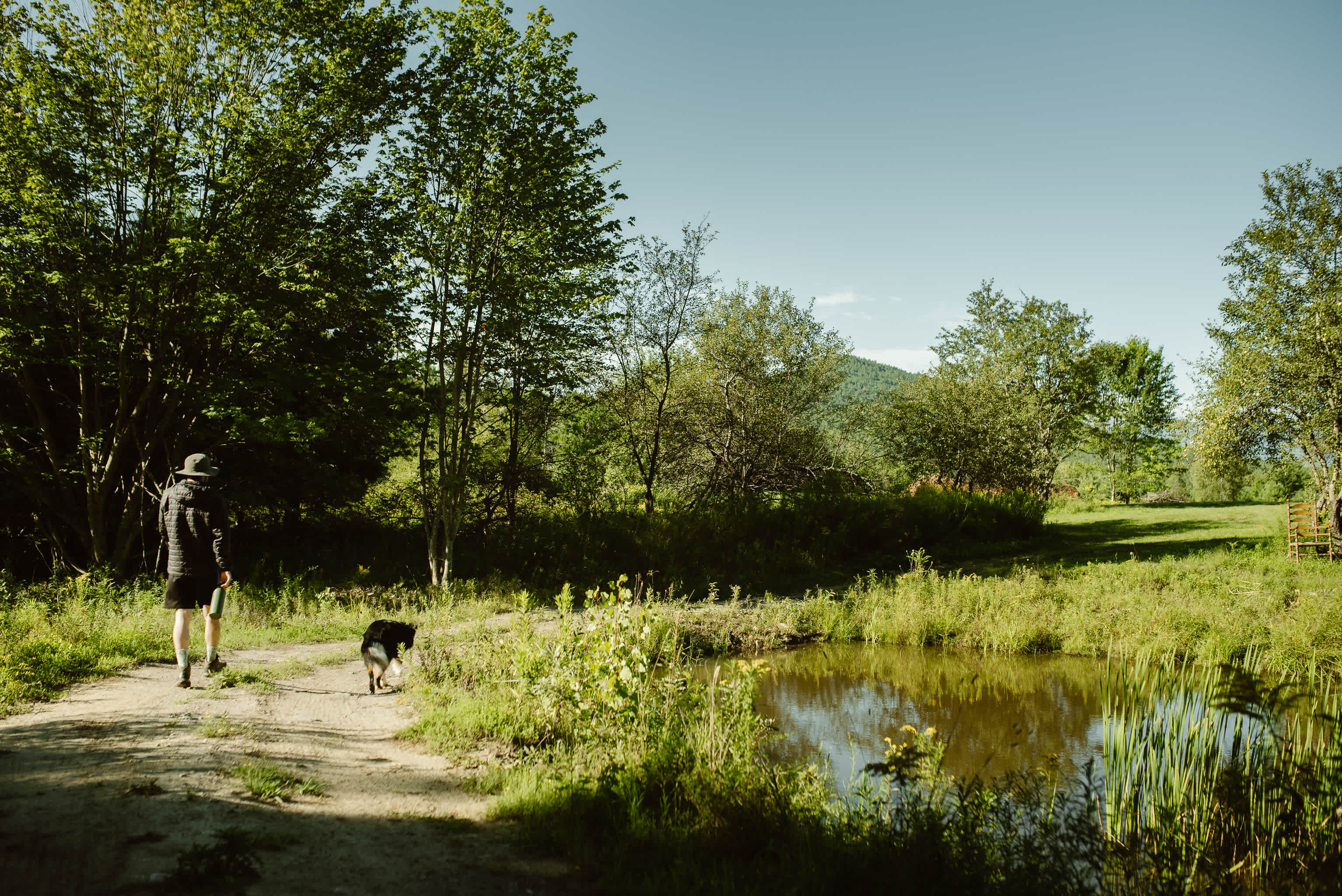 Beautiful pond.