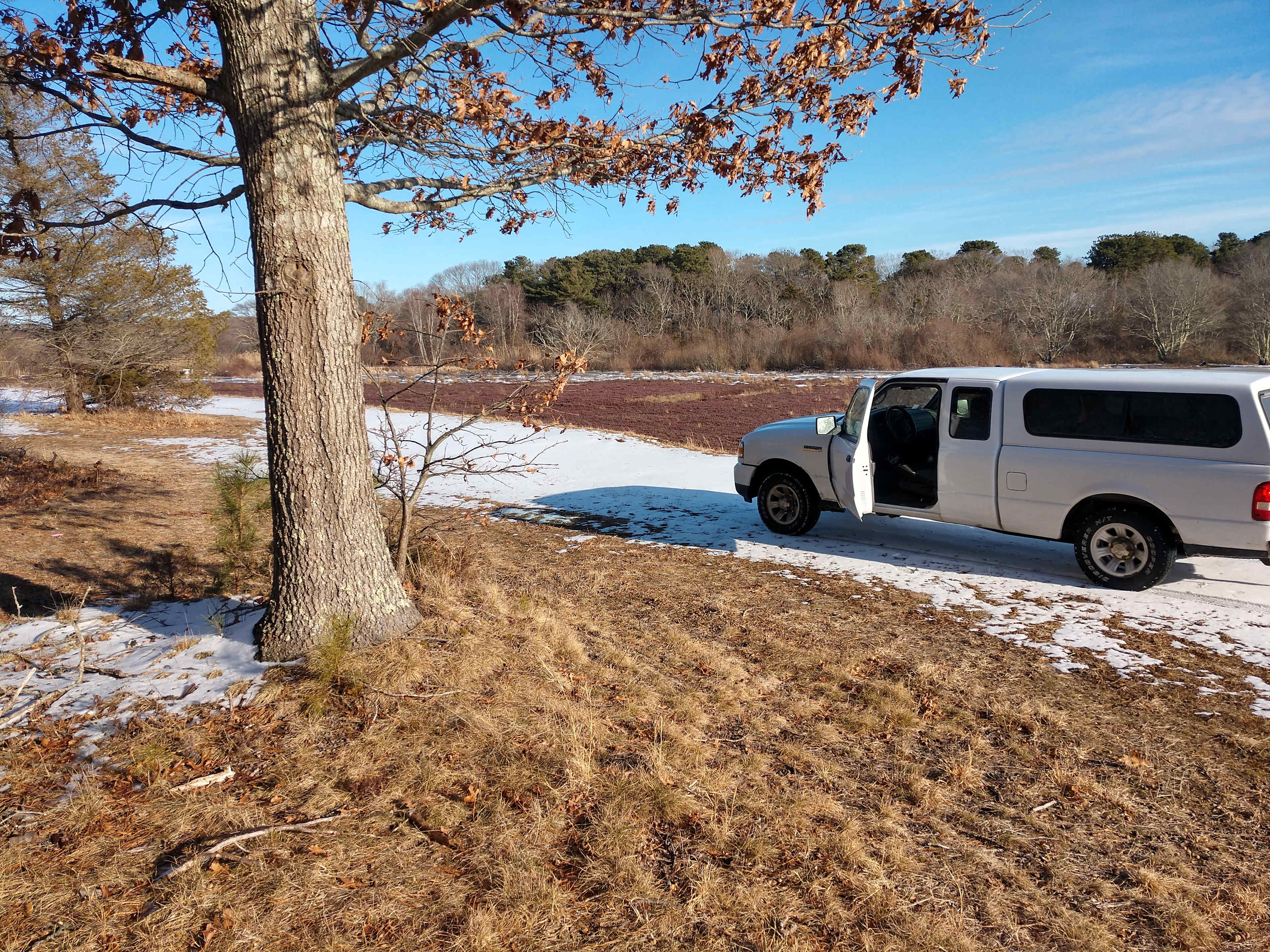Edge of the field campsite overlooking the bogs on an Early March morning