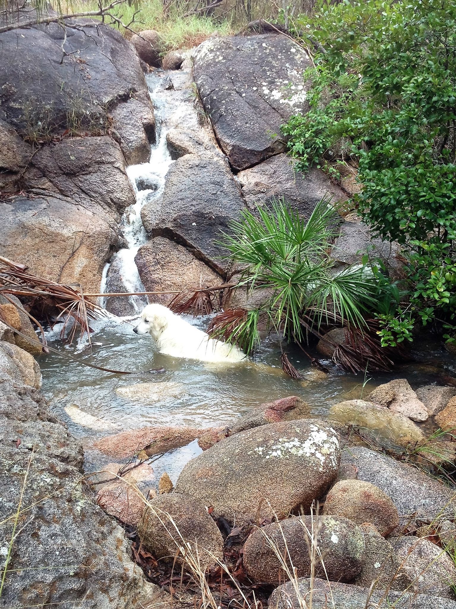 Small creek waterfall that runs during wet seasons.