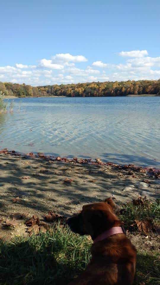 White Lake 5 miles away