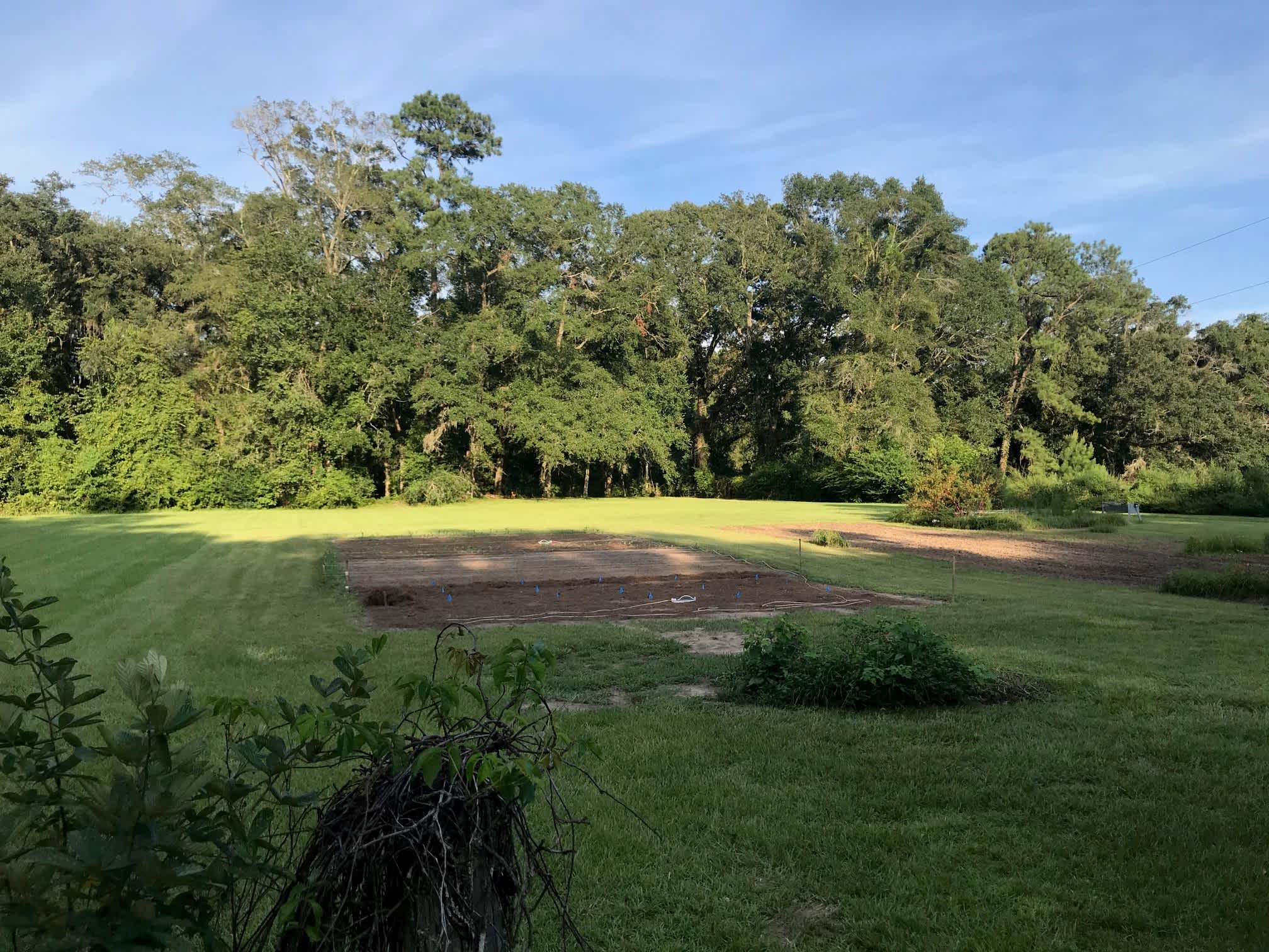 Main garden located in open pasture area.  Driveway is located to the right of the garden plots and gives access to pasture tent sites, 2 rv sites and Host's personal residence.