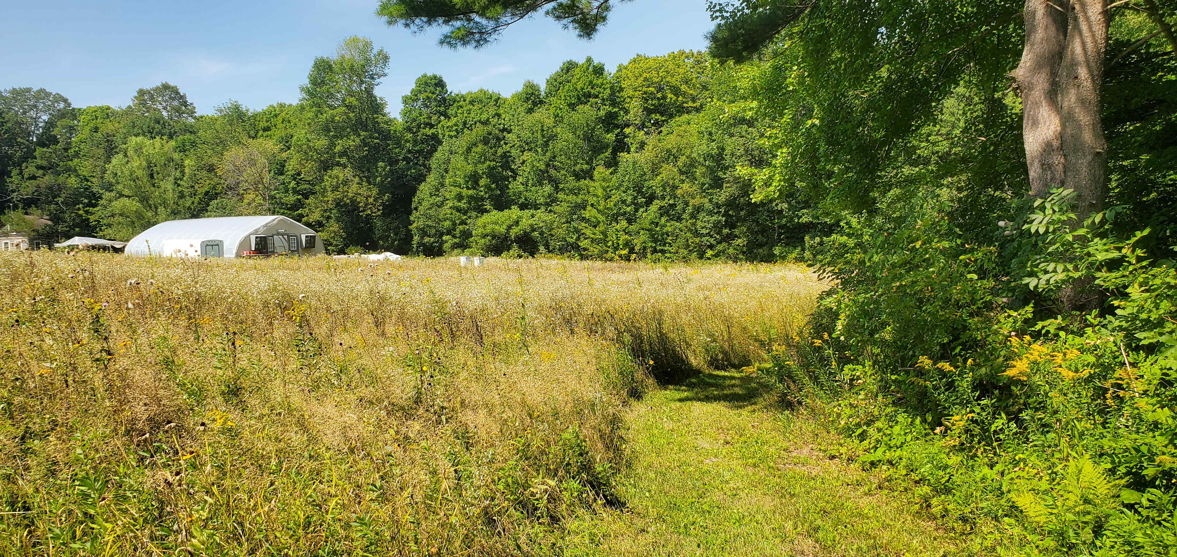 Picture of the site