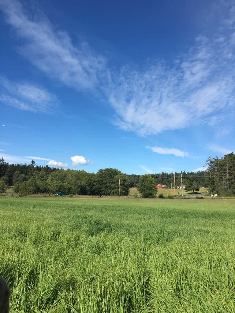 Ducken Farm Camping