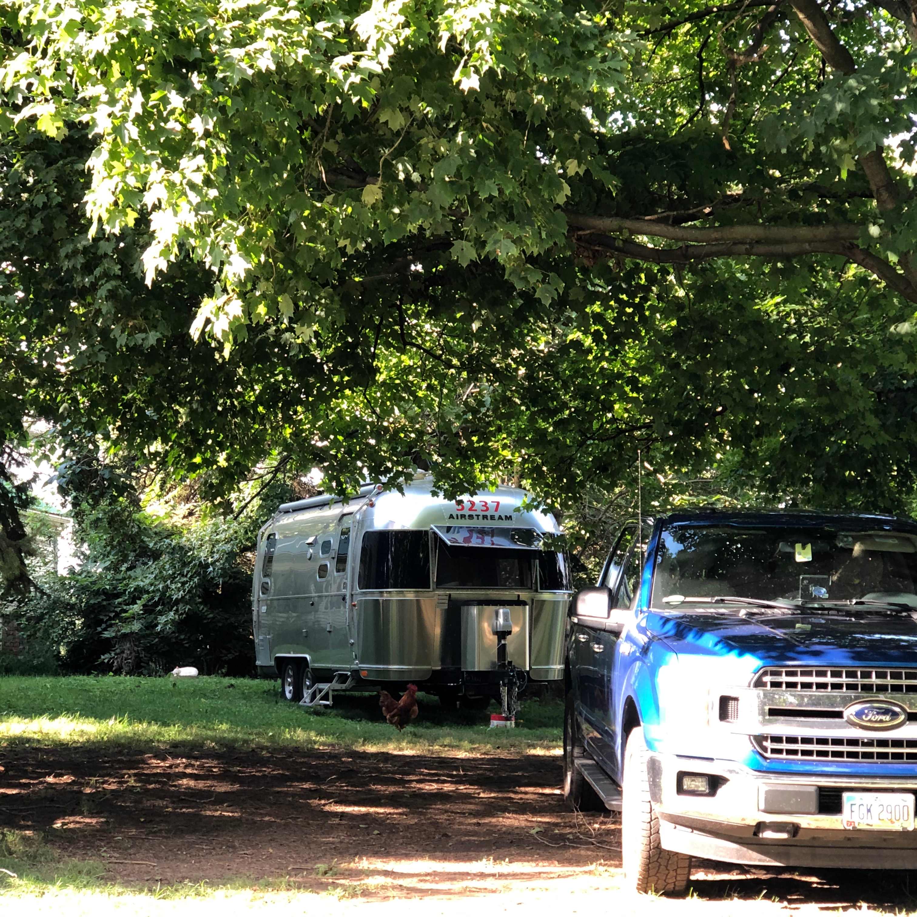 Camping with Unruly Goats