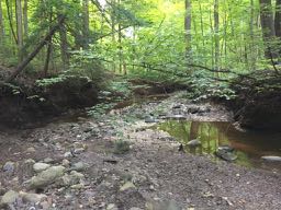 This is the chance creek, near site #2