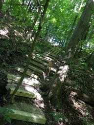 Steps down to the creekside campsite. 
