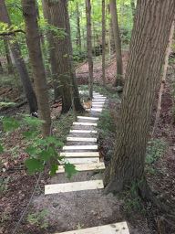 Steps down to site #2