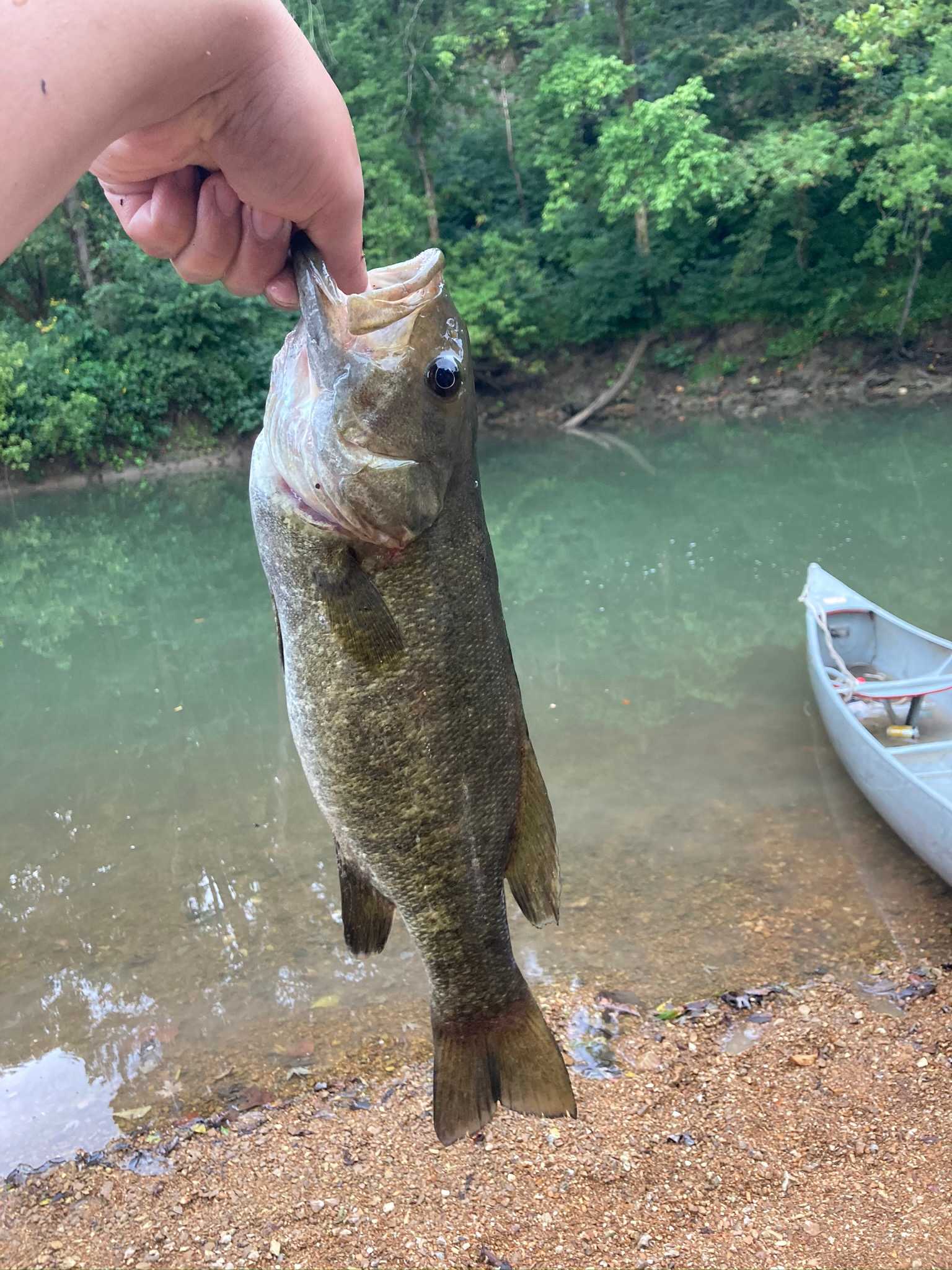 Nice bass caught about 50 feet up the river from the campsite 