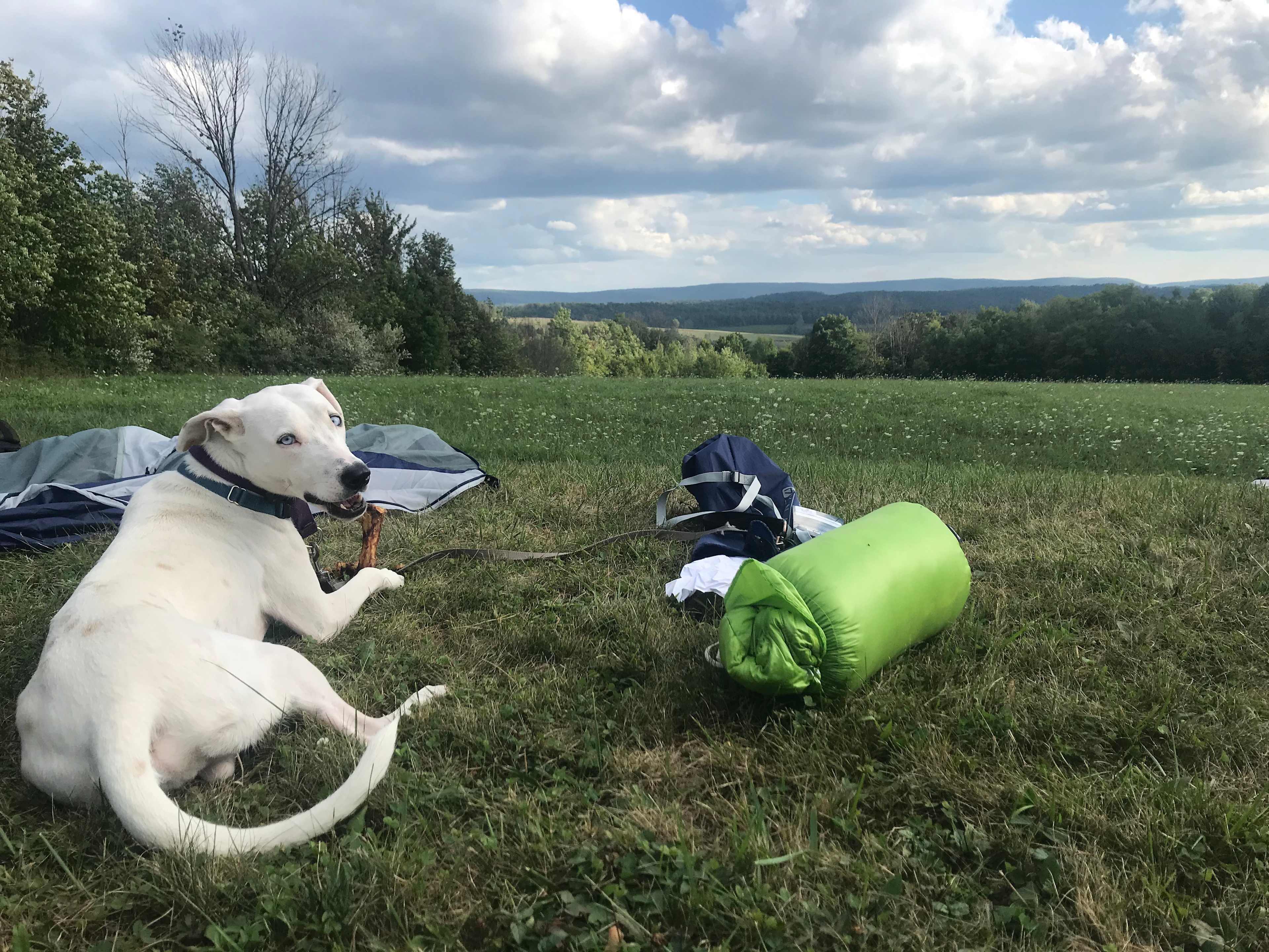 Endless Mountain Getaways
