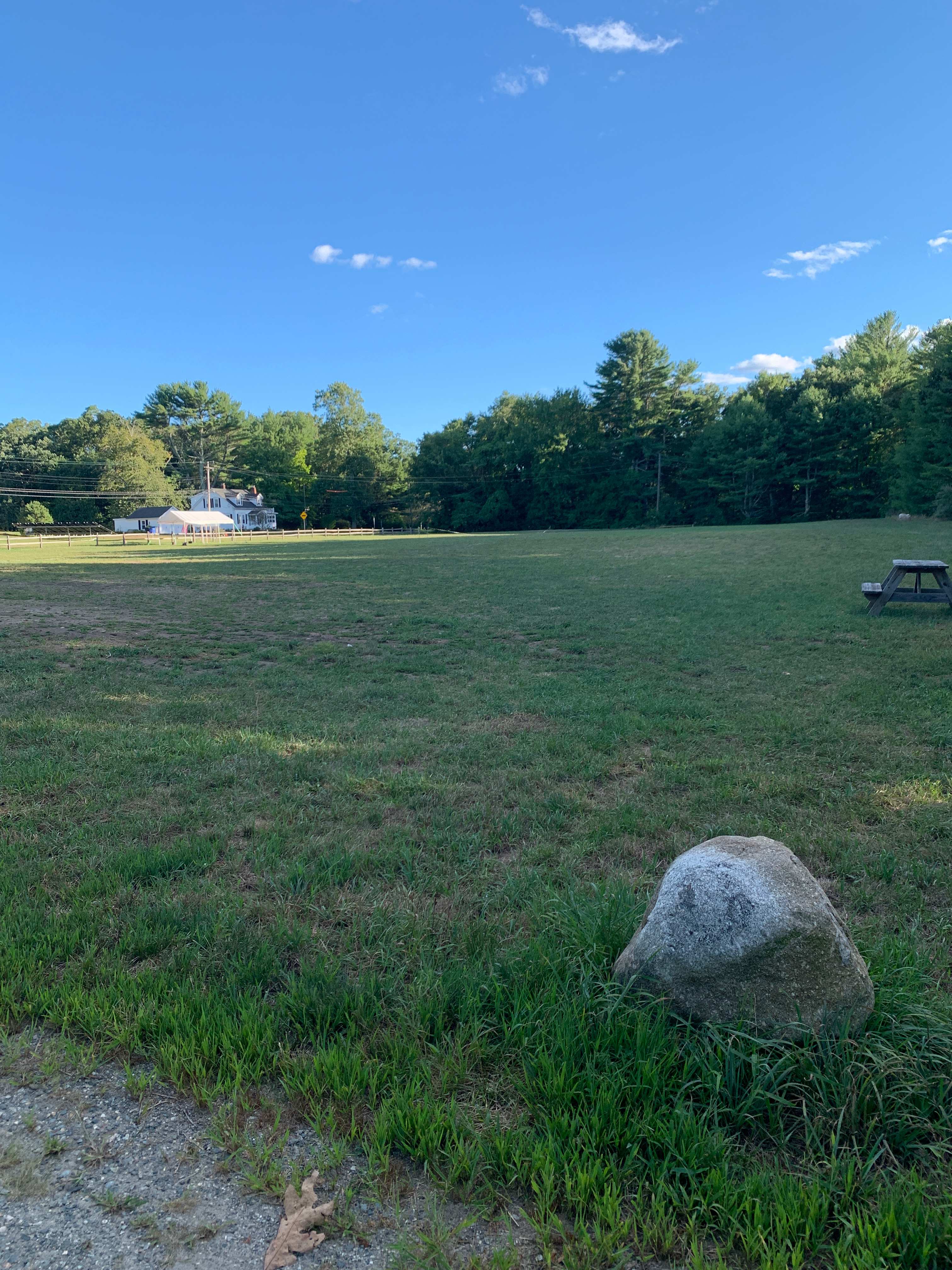 Picture of the site