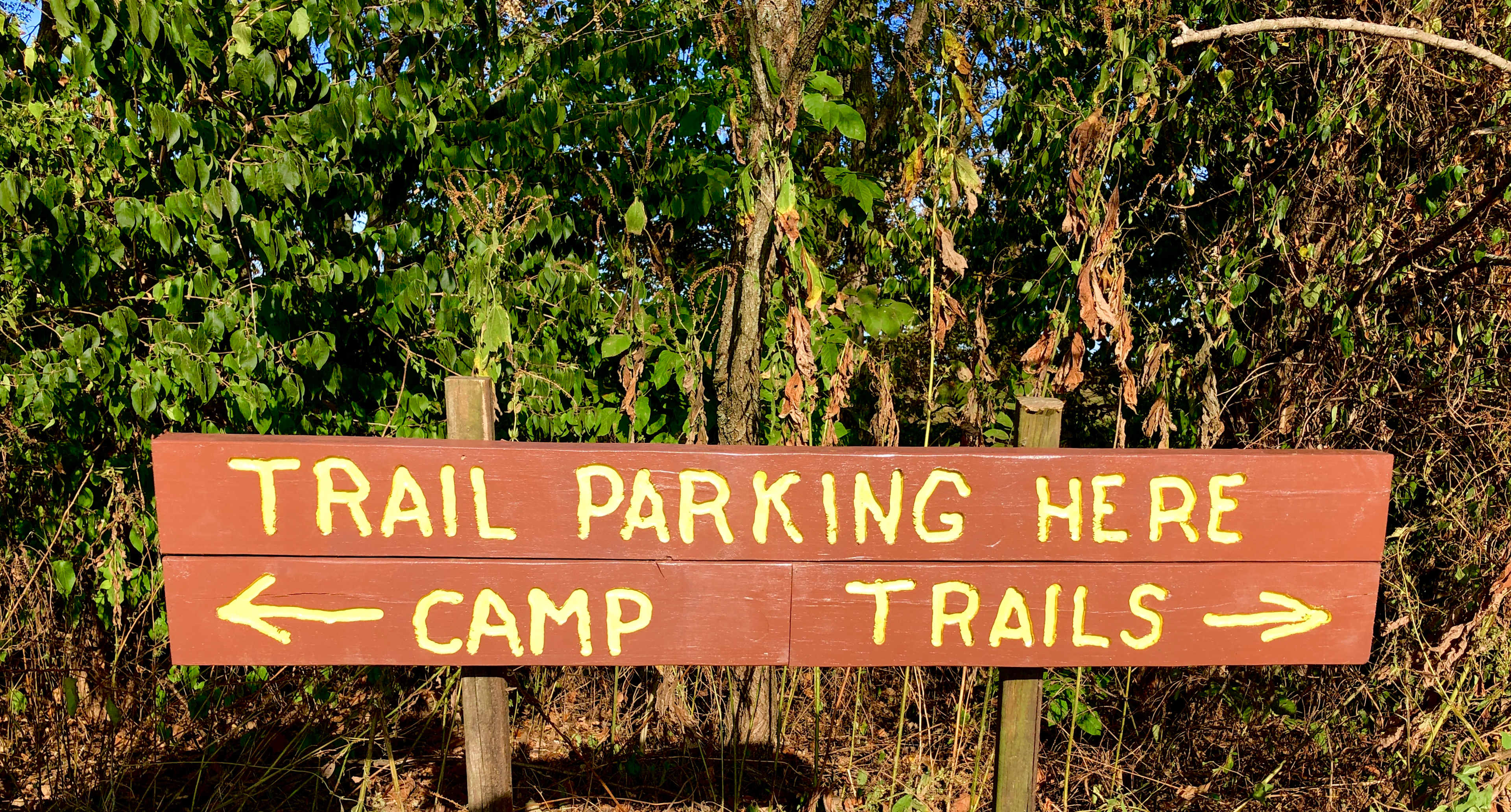 Camping Along the Old Bison Trail