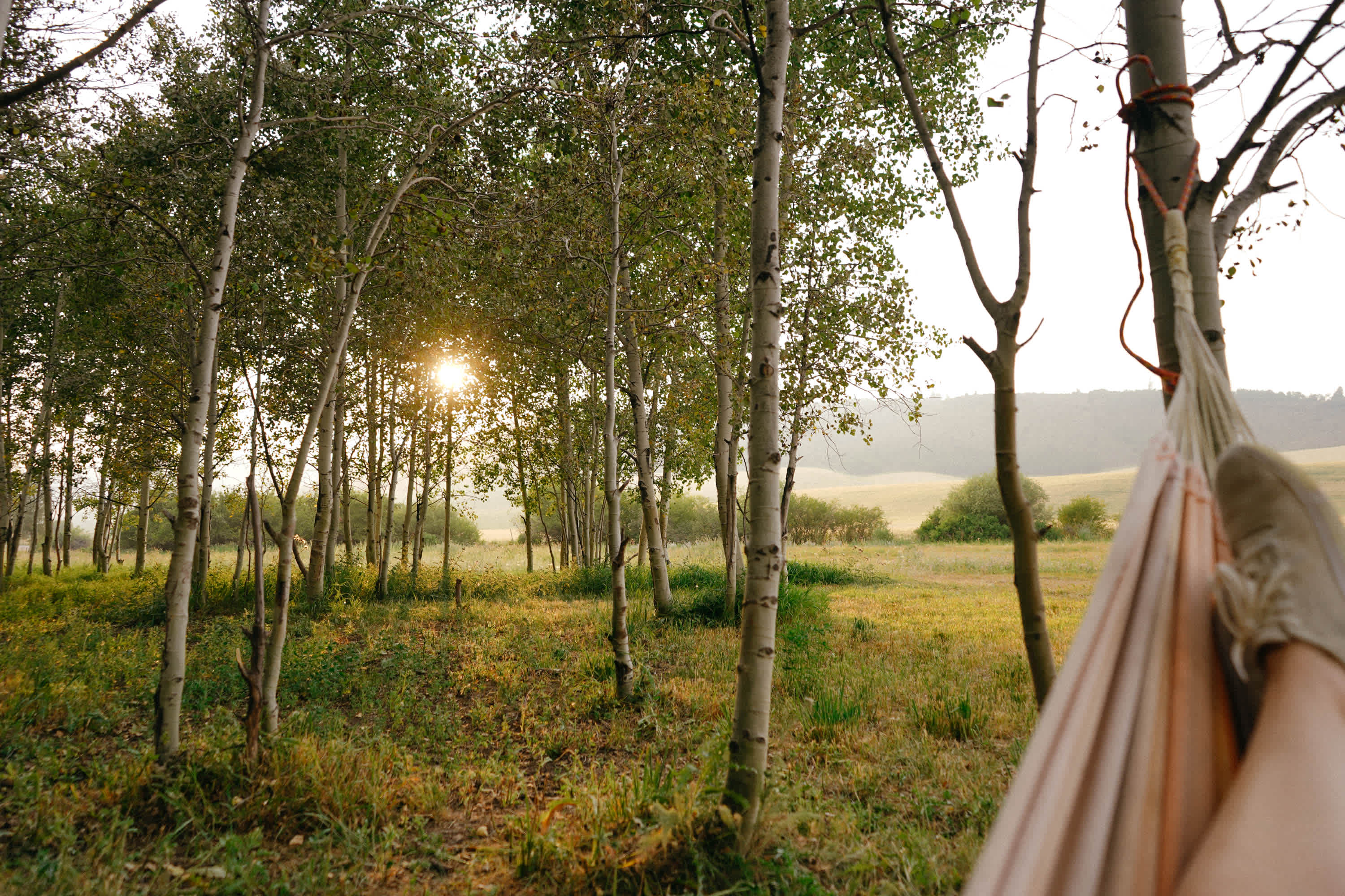 You can't really beat a hammock sunset in the Summer!