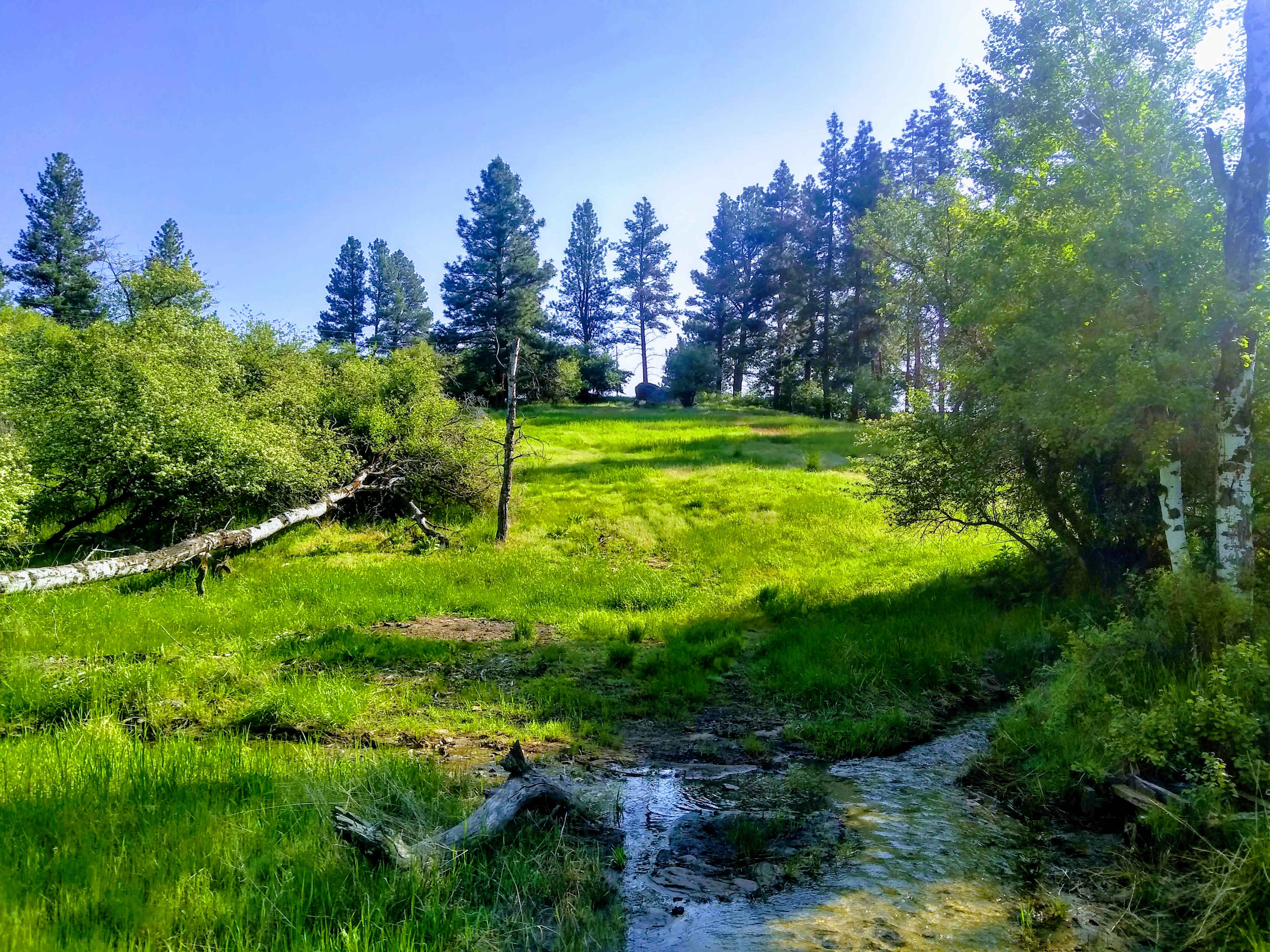 Spring hike on the property.