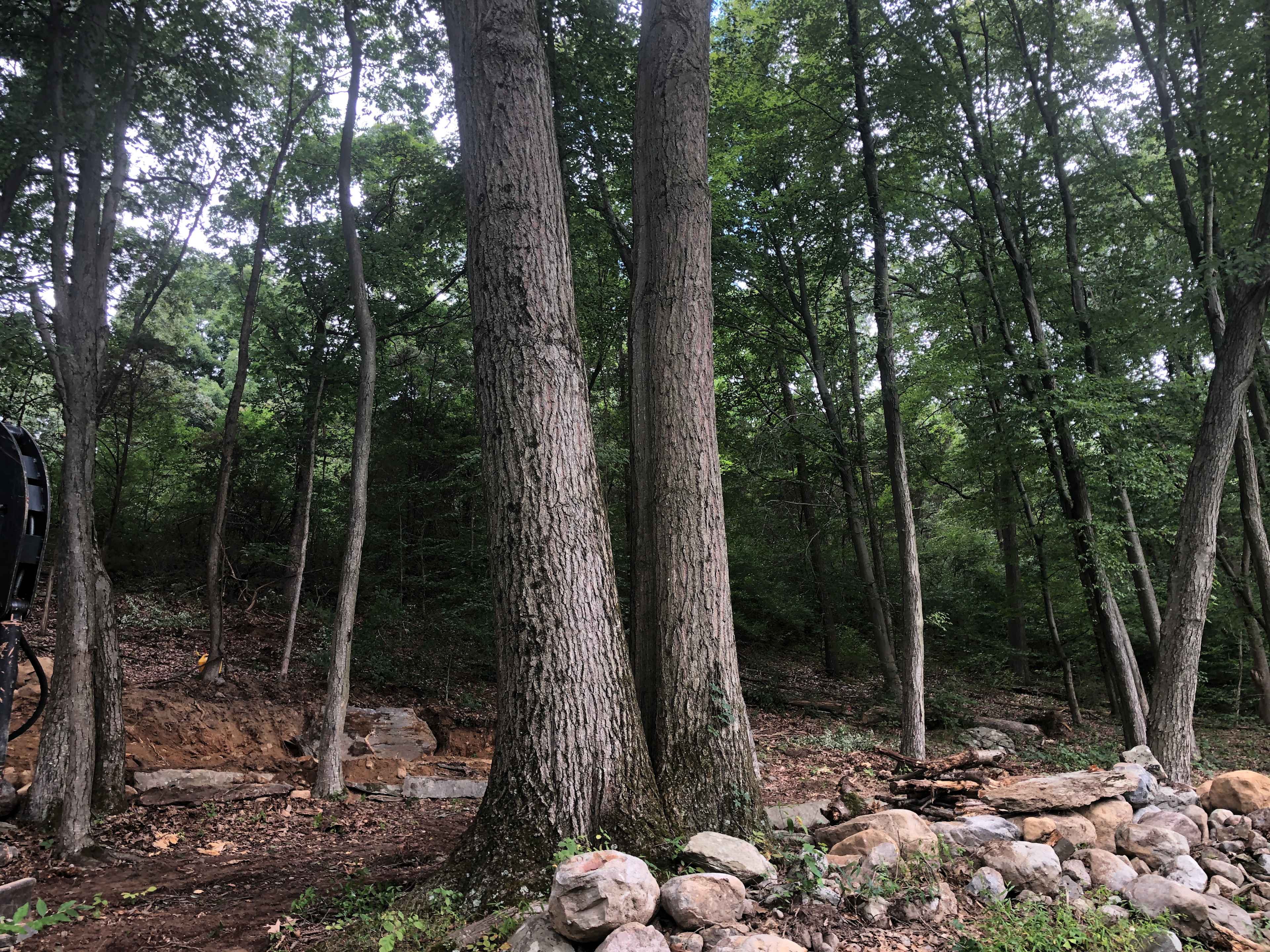 Twin Oaks - Approaching the site from the parking area.