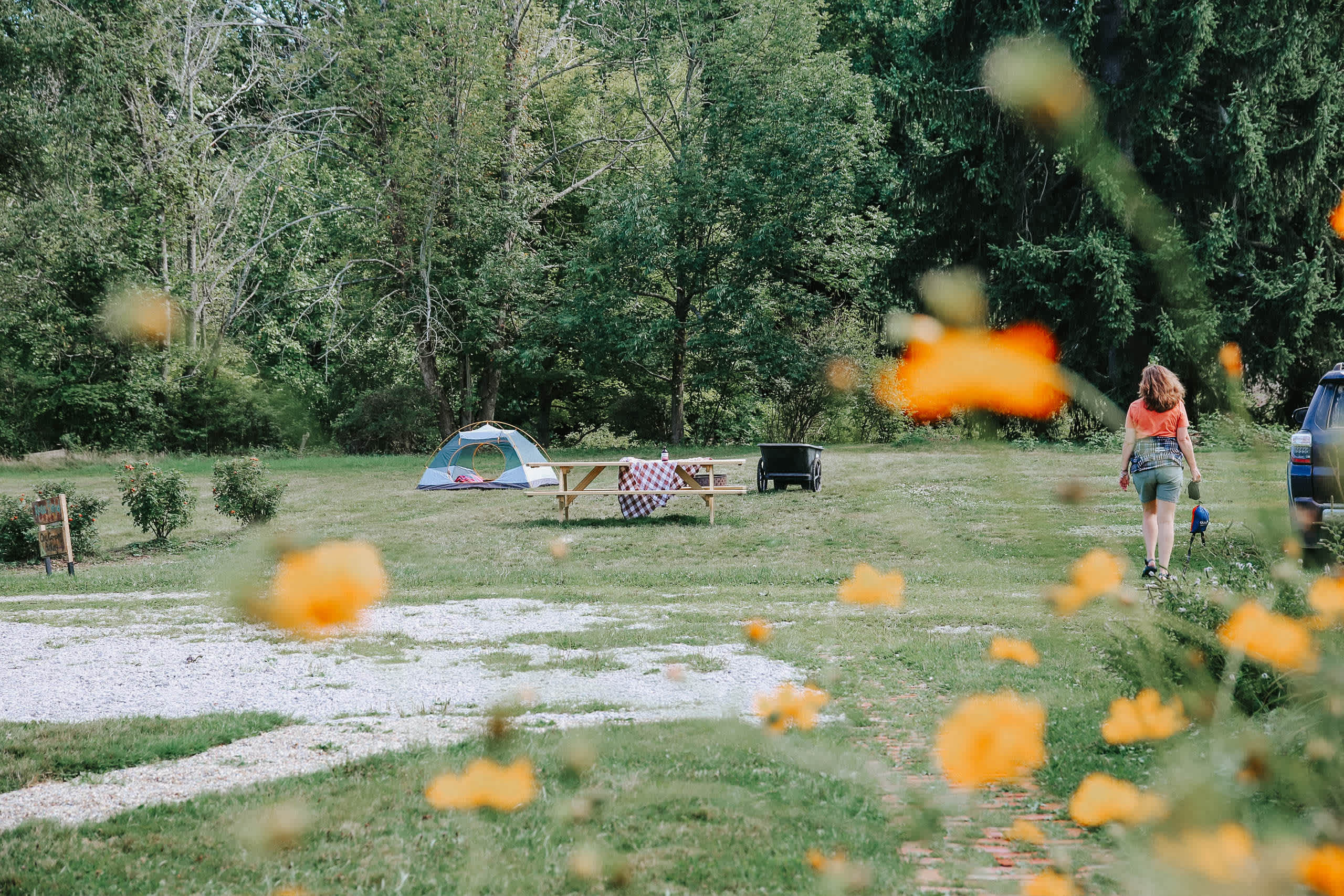 Our site. 