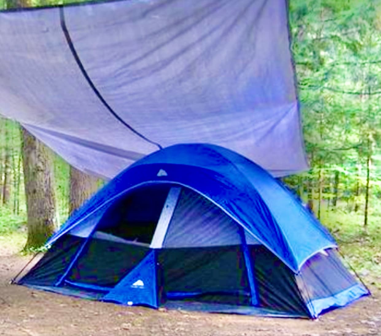 Camp Squid Off The Grid