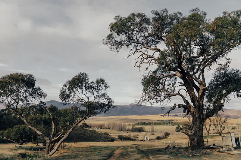 Michelago Farm Camping