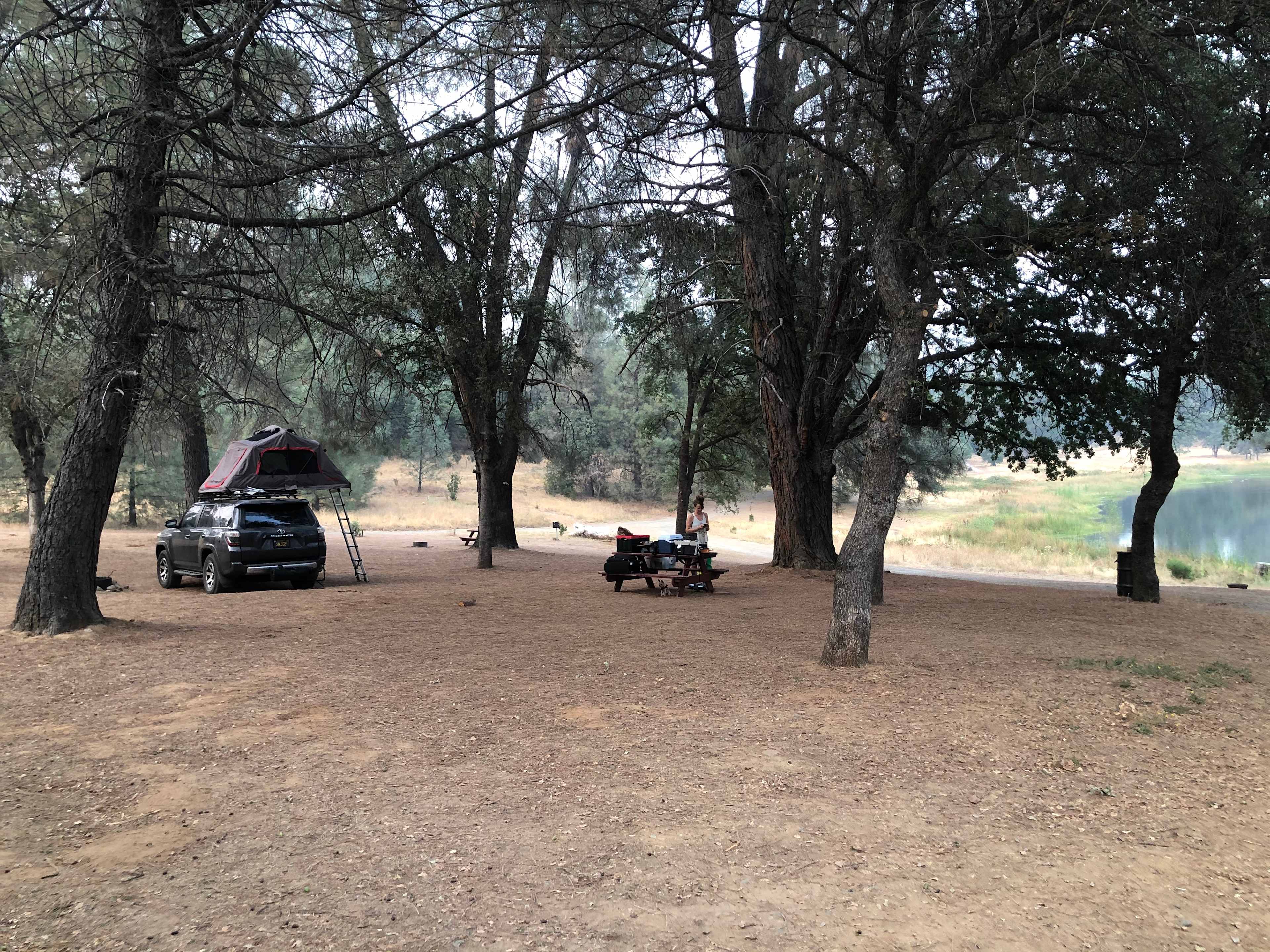 Picture of the site
