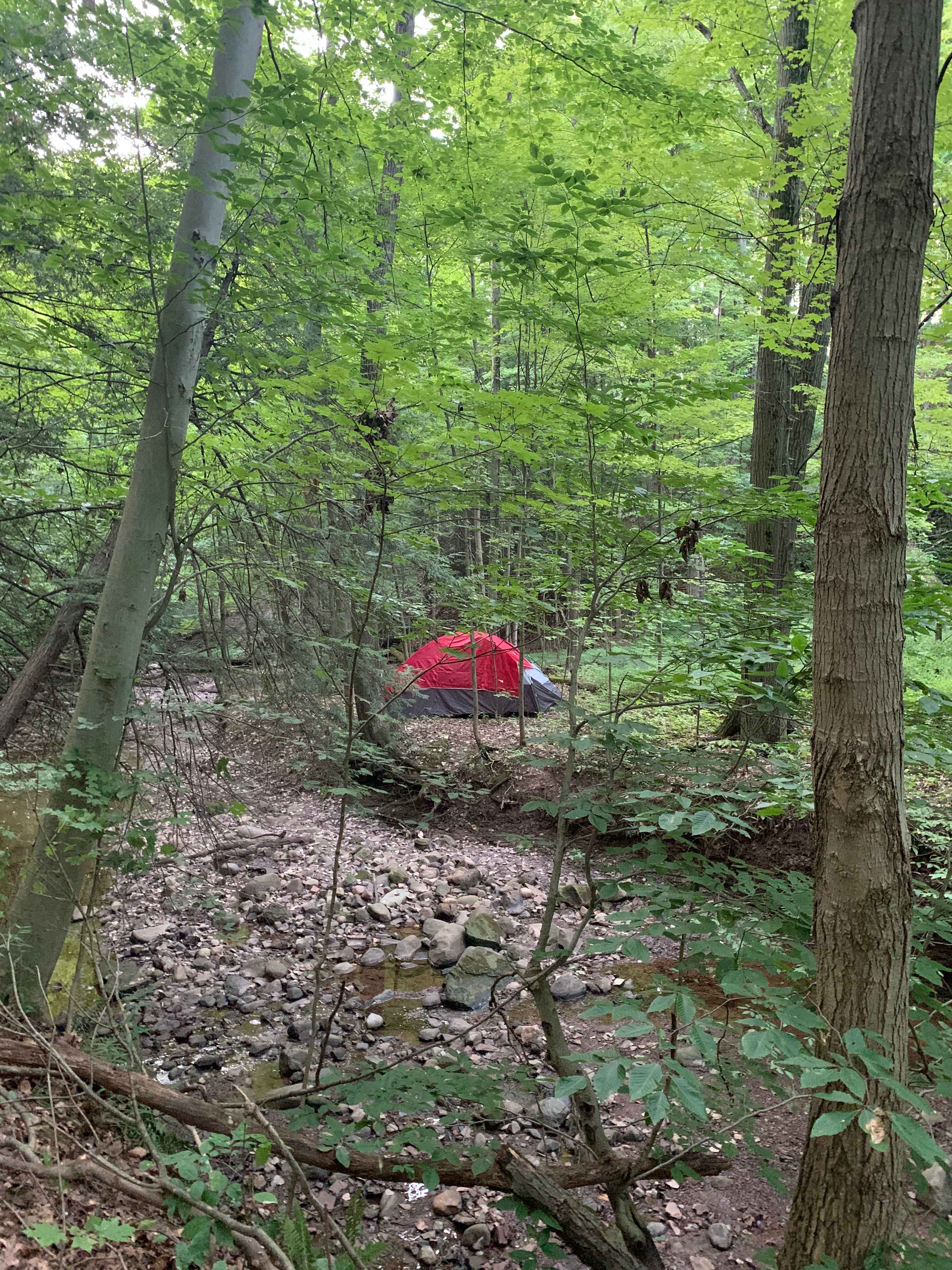 Picture of the site