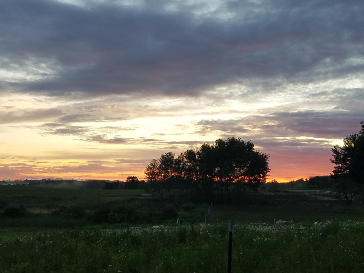 A beautiful summer sunset.