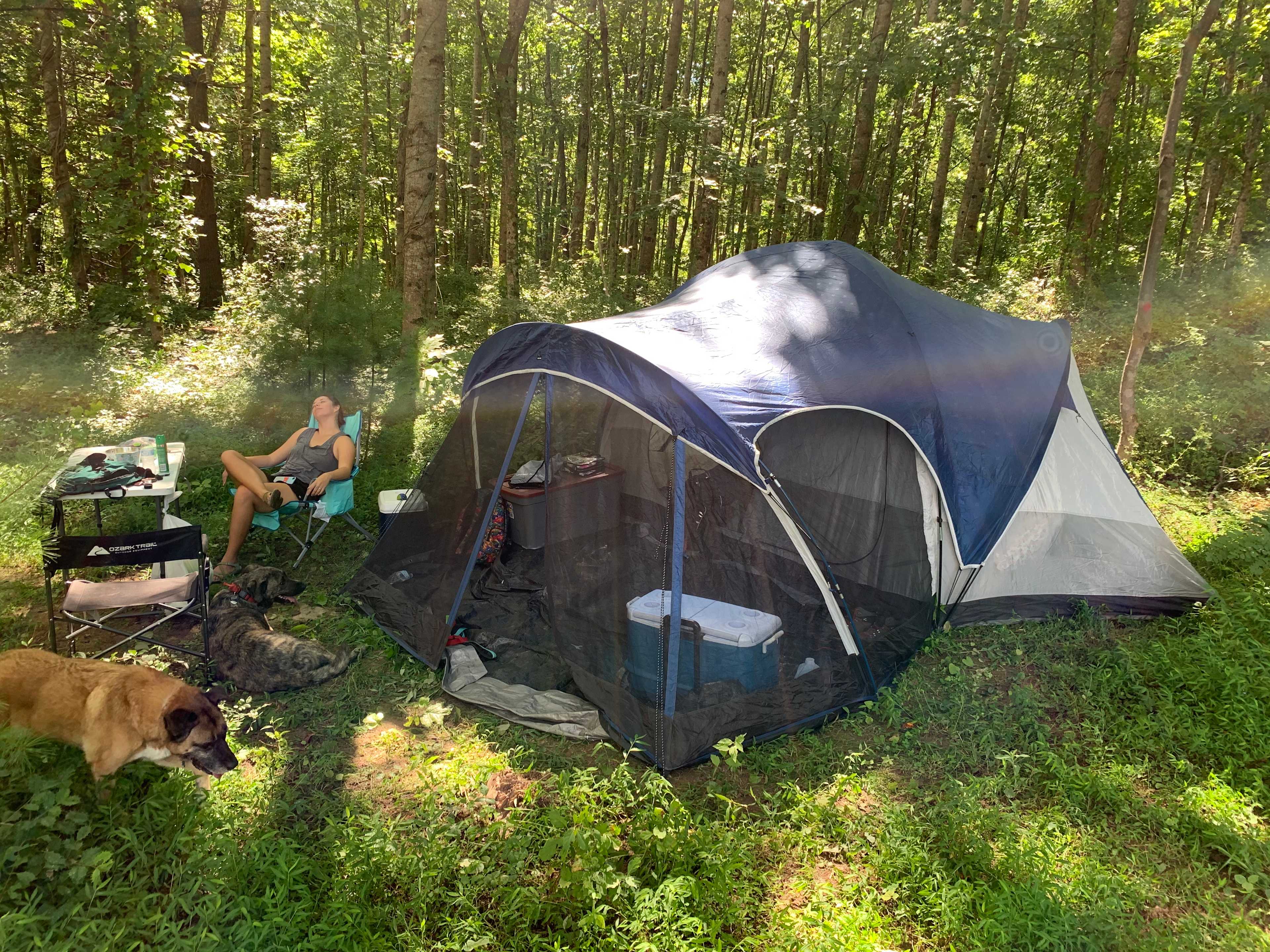 Paradise Ridge Permaculture