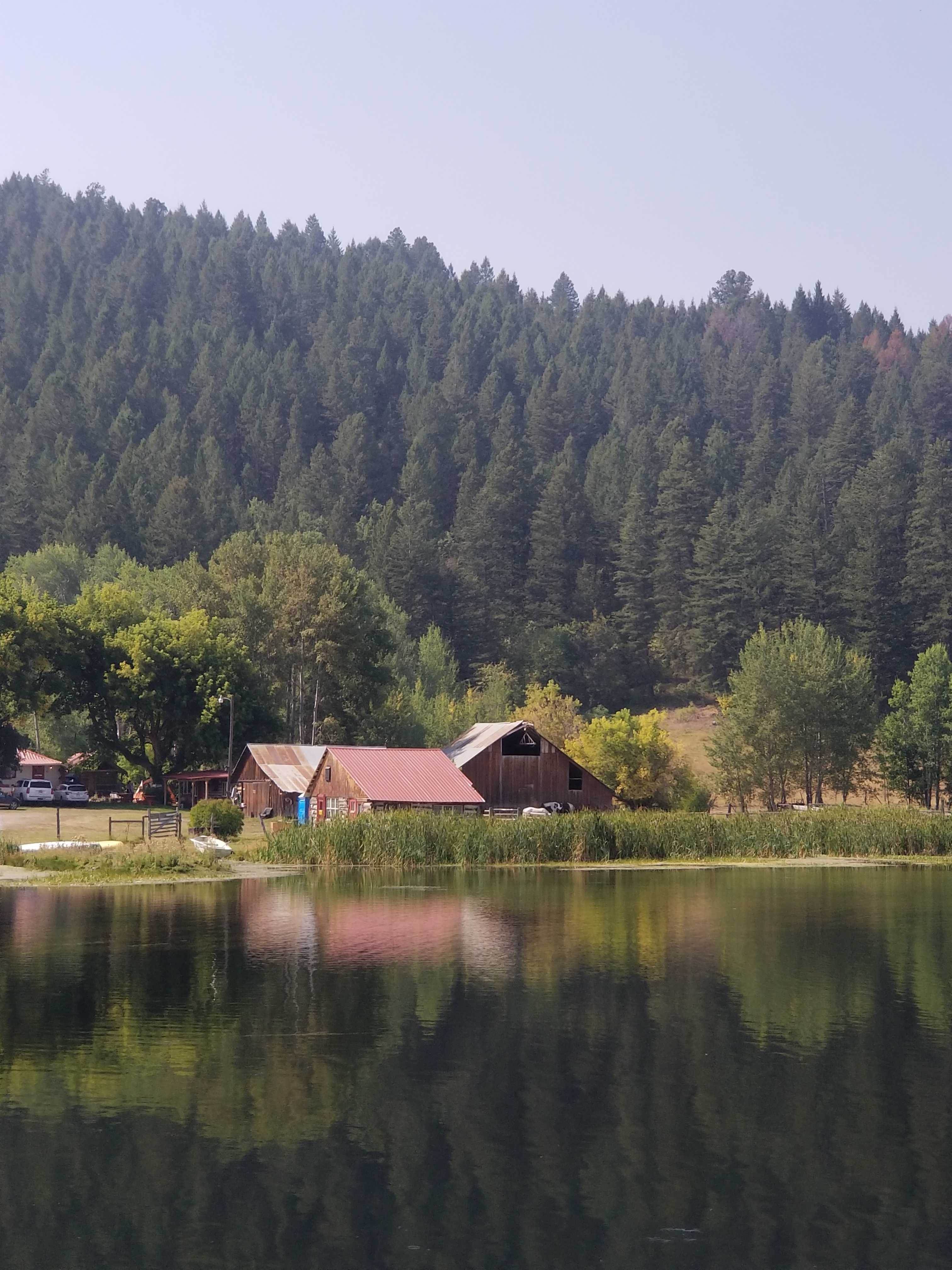 Pond on the ranch