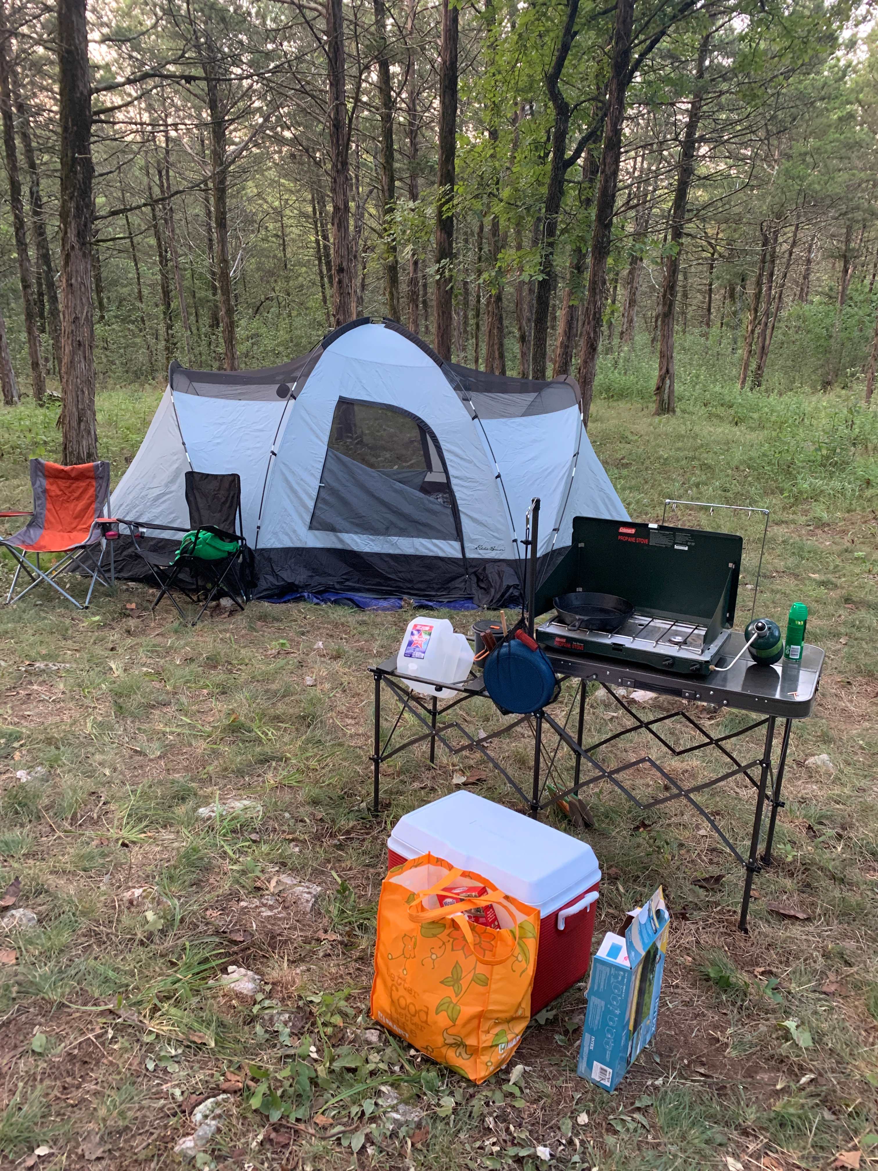 Picture of the site