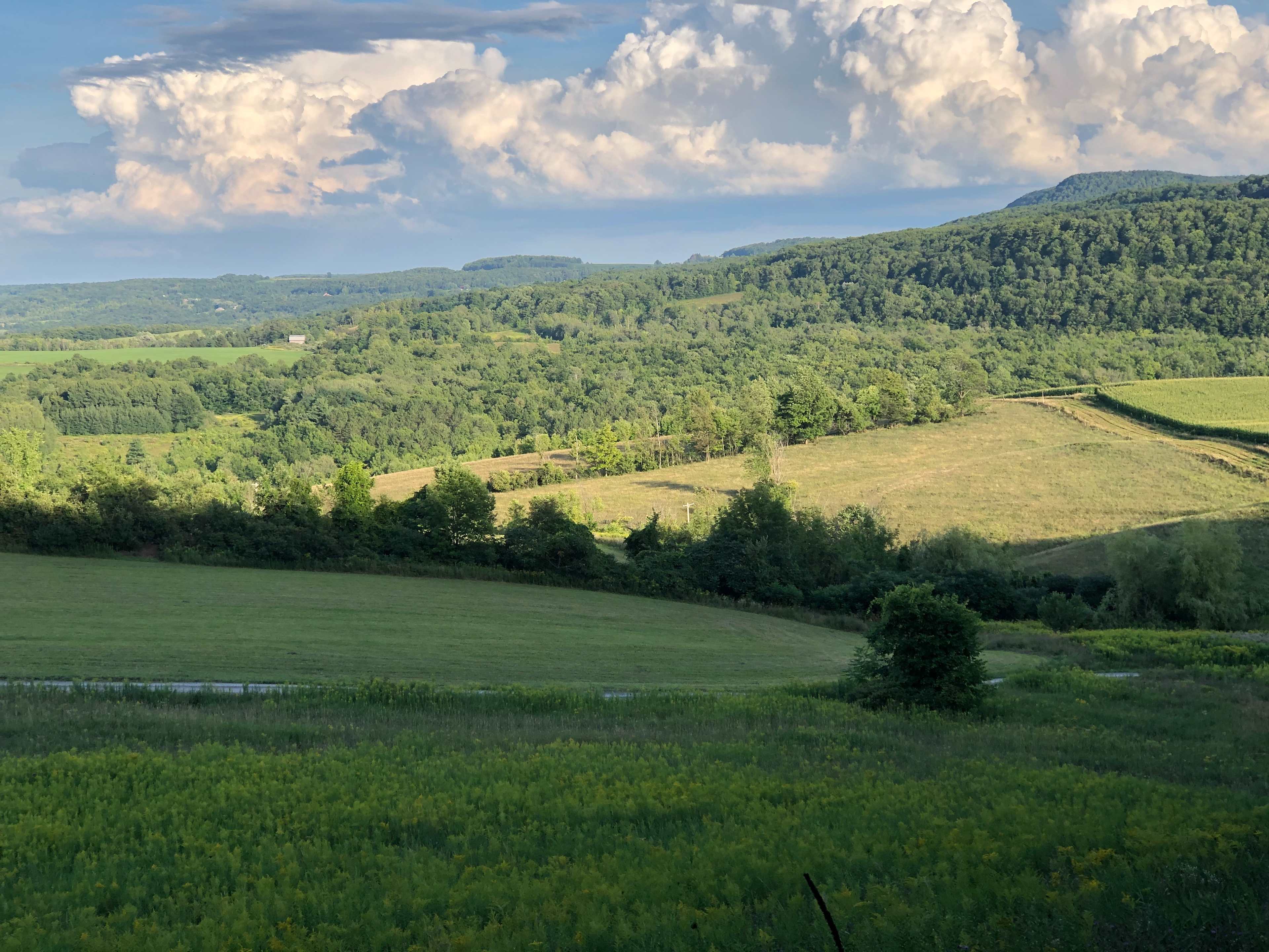 Karen S.’s Land