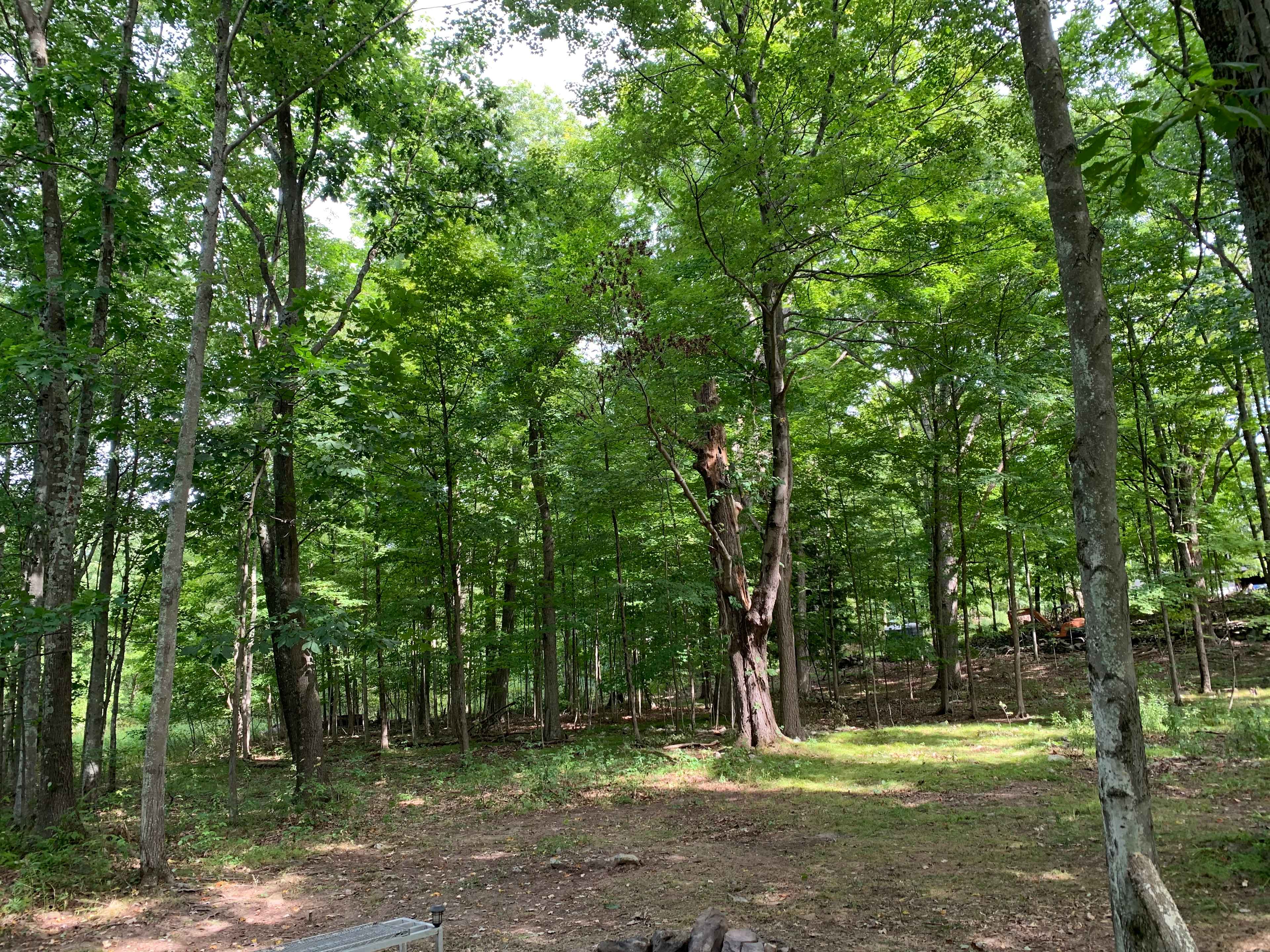 The Sanctuary At Blossom Dell