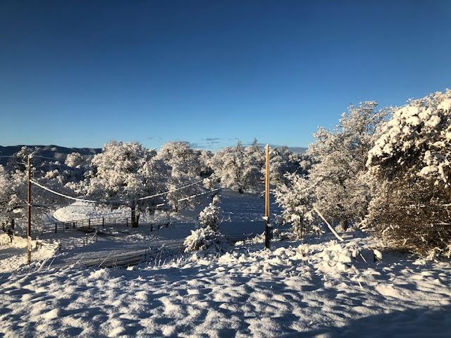 This is looking from our house out to the road. We live off the highway above looking down. 