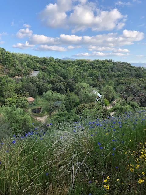 This is on the main site of our property looking out over the property.