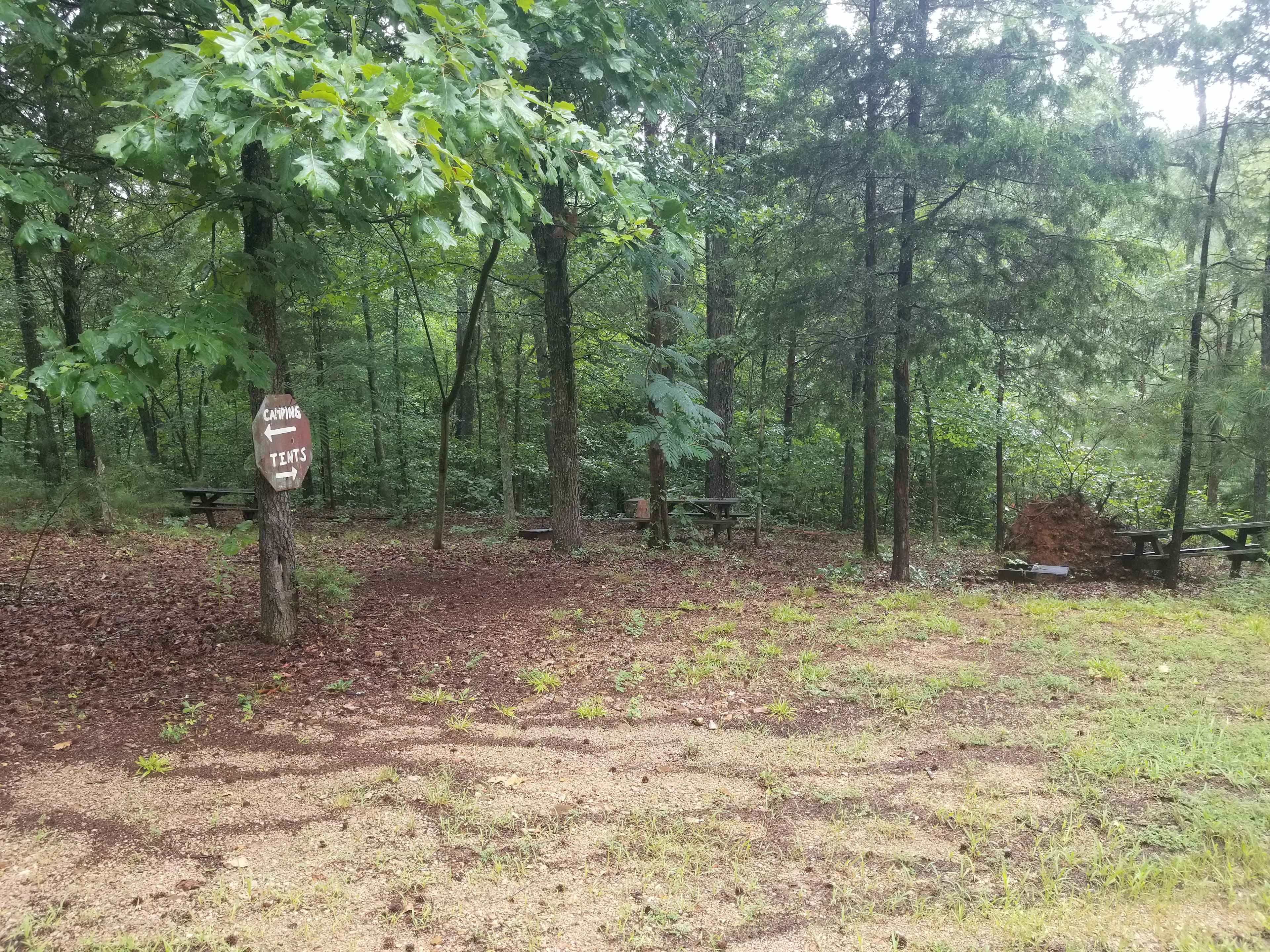 Designated tent site