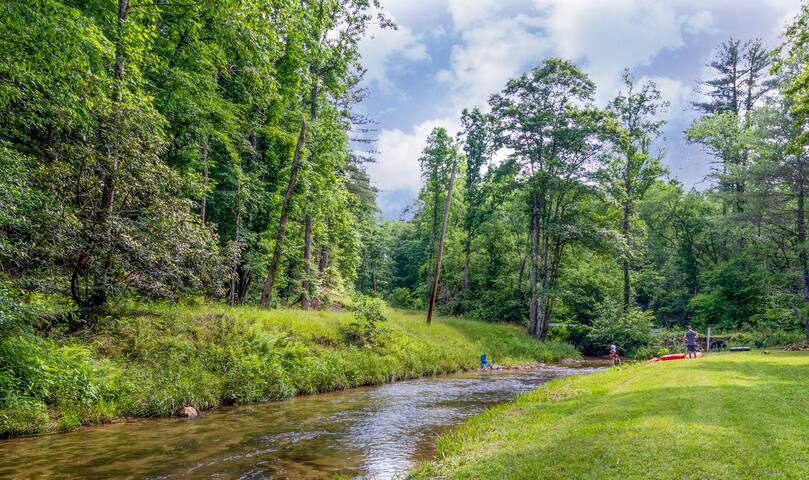 Creek side of the site