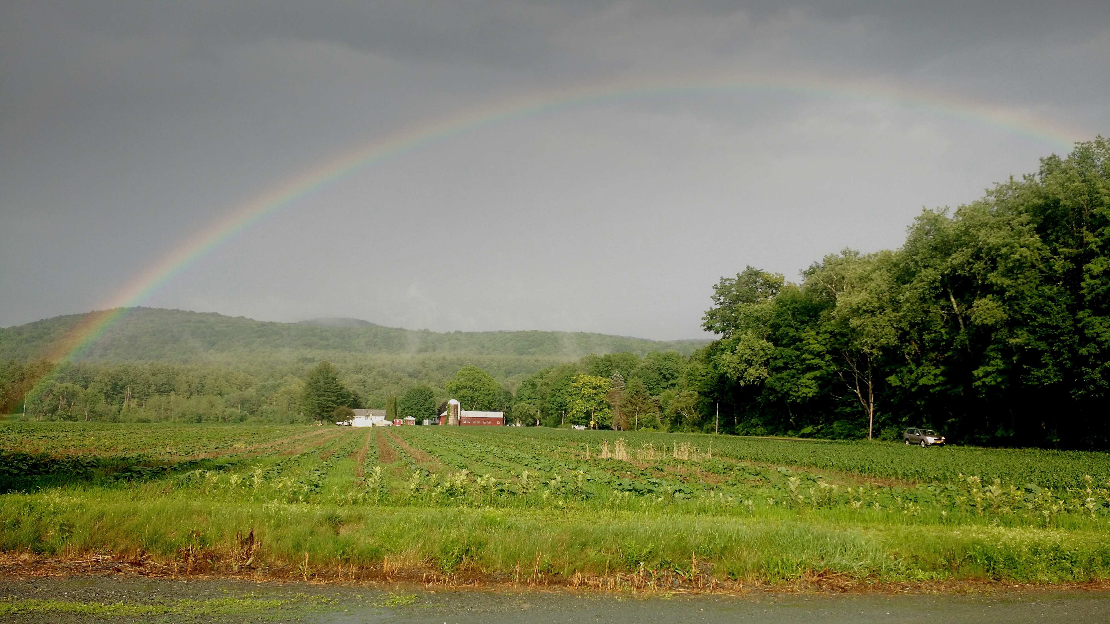 You'll be at the end of the rainbow!