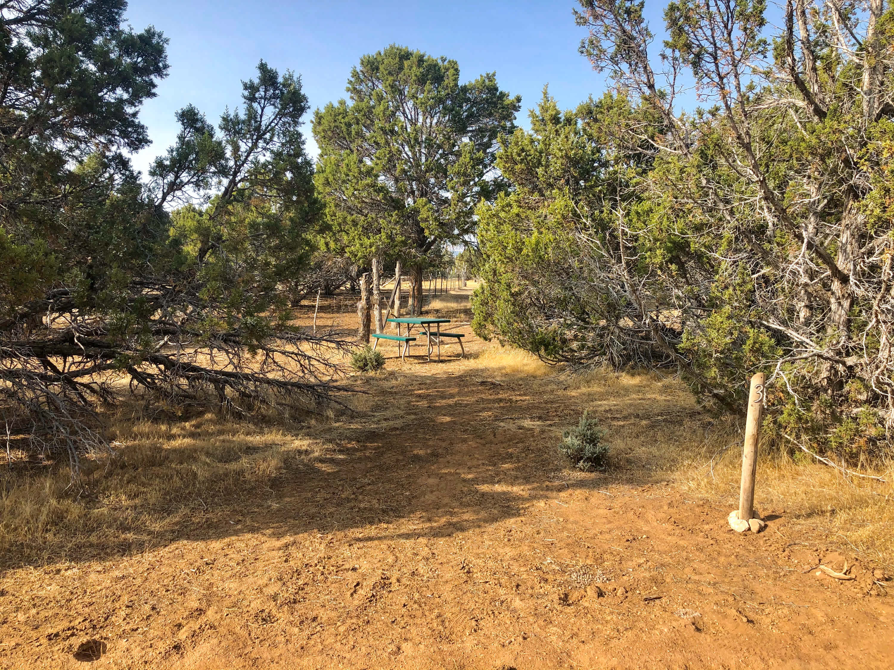 One of 5 specific tent sites with picnic tables.