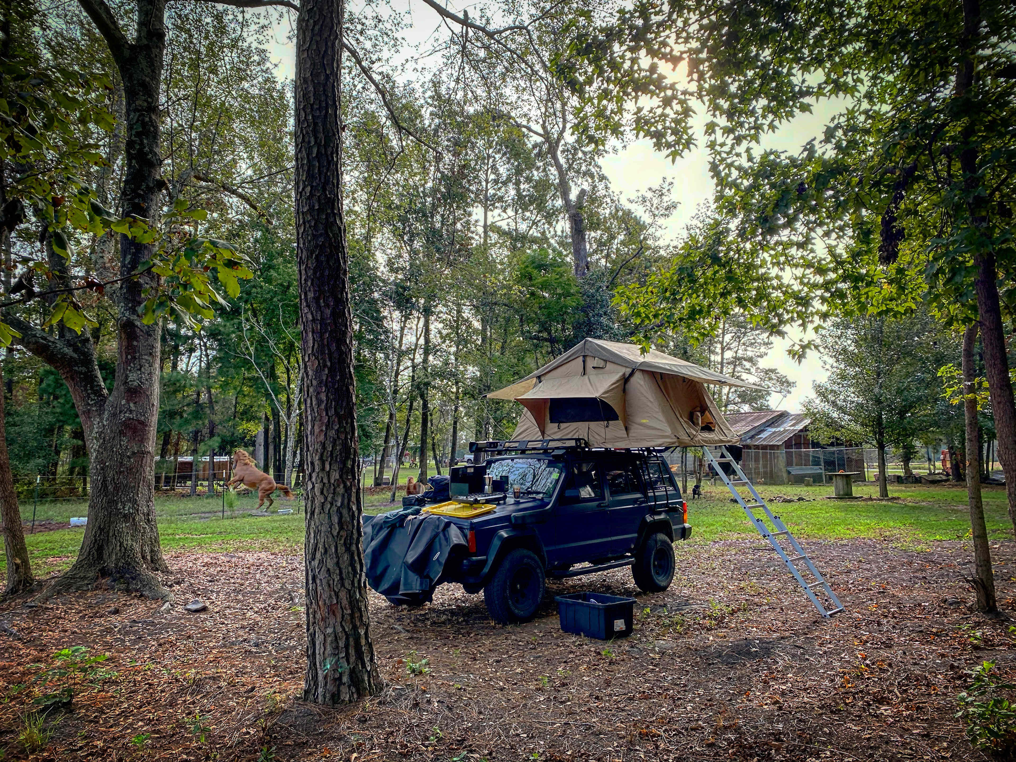 Double L Farms RV Park, LLC