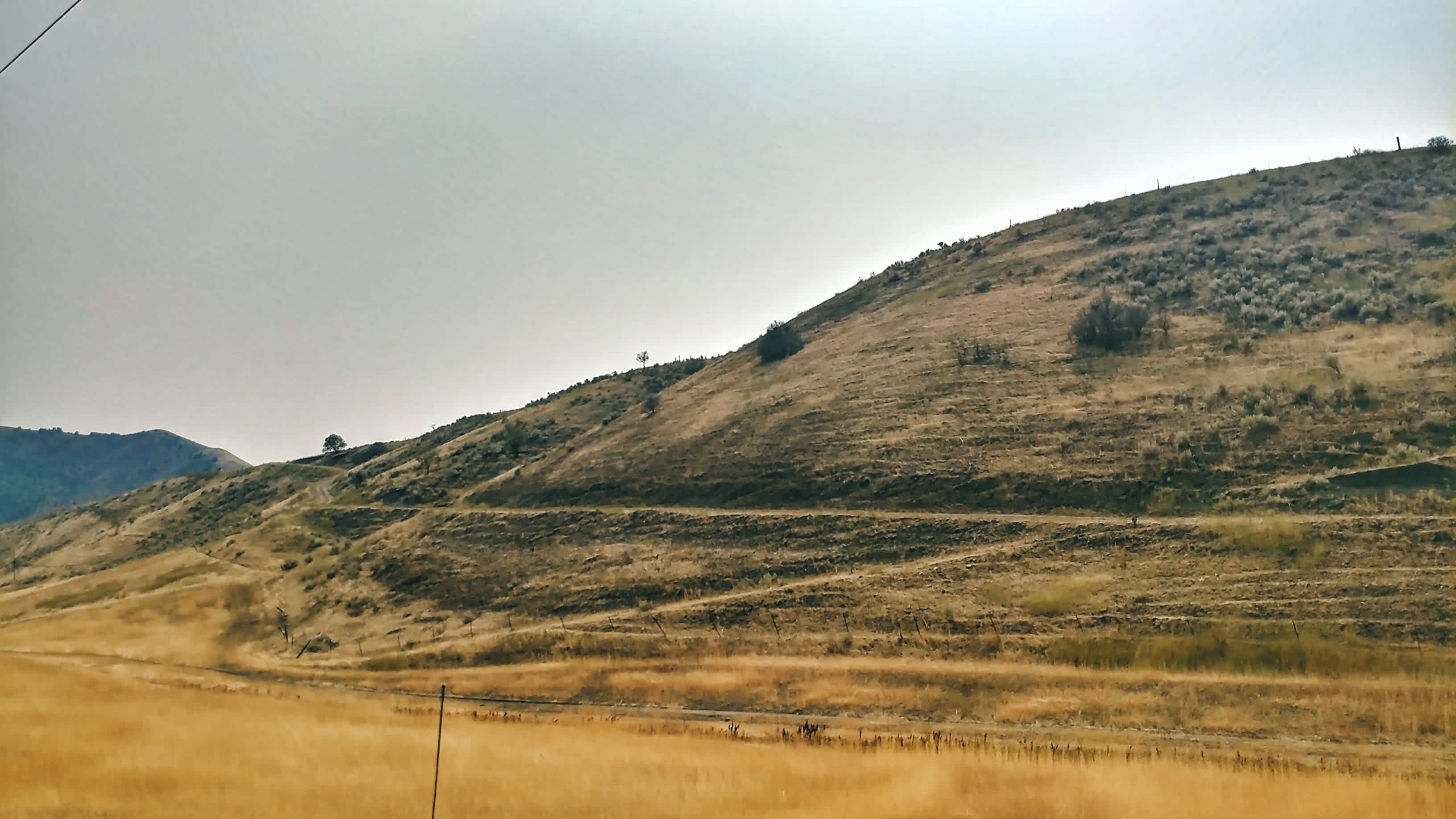 Road on the hillside leading up to the campsites.