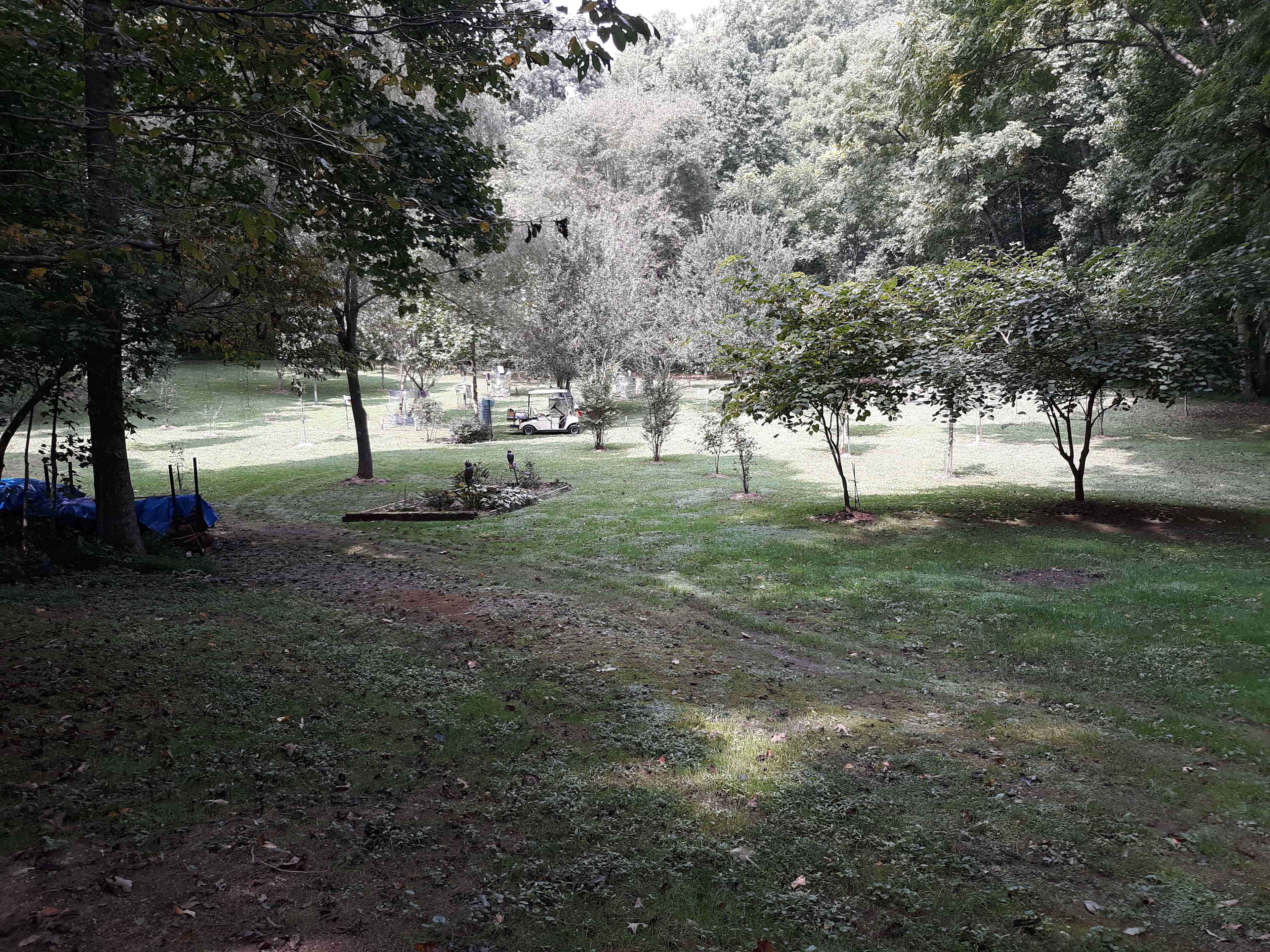 Would be campsites but would require a four wheel just down a steep gravel driveway.  This is attached to 3.2 acre house lot.