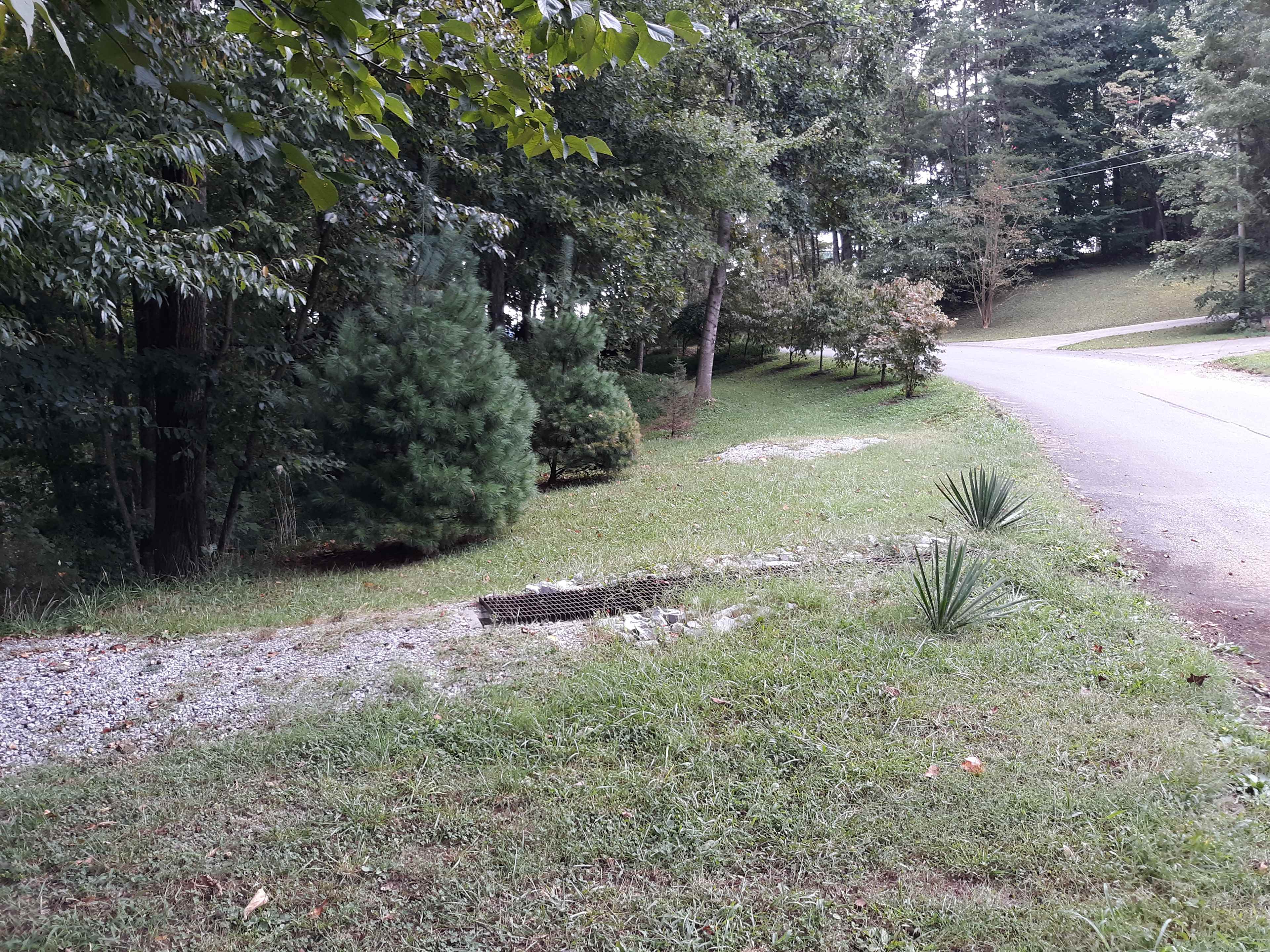 Looking back from previous picture at site on Forest Hills Dr.