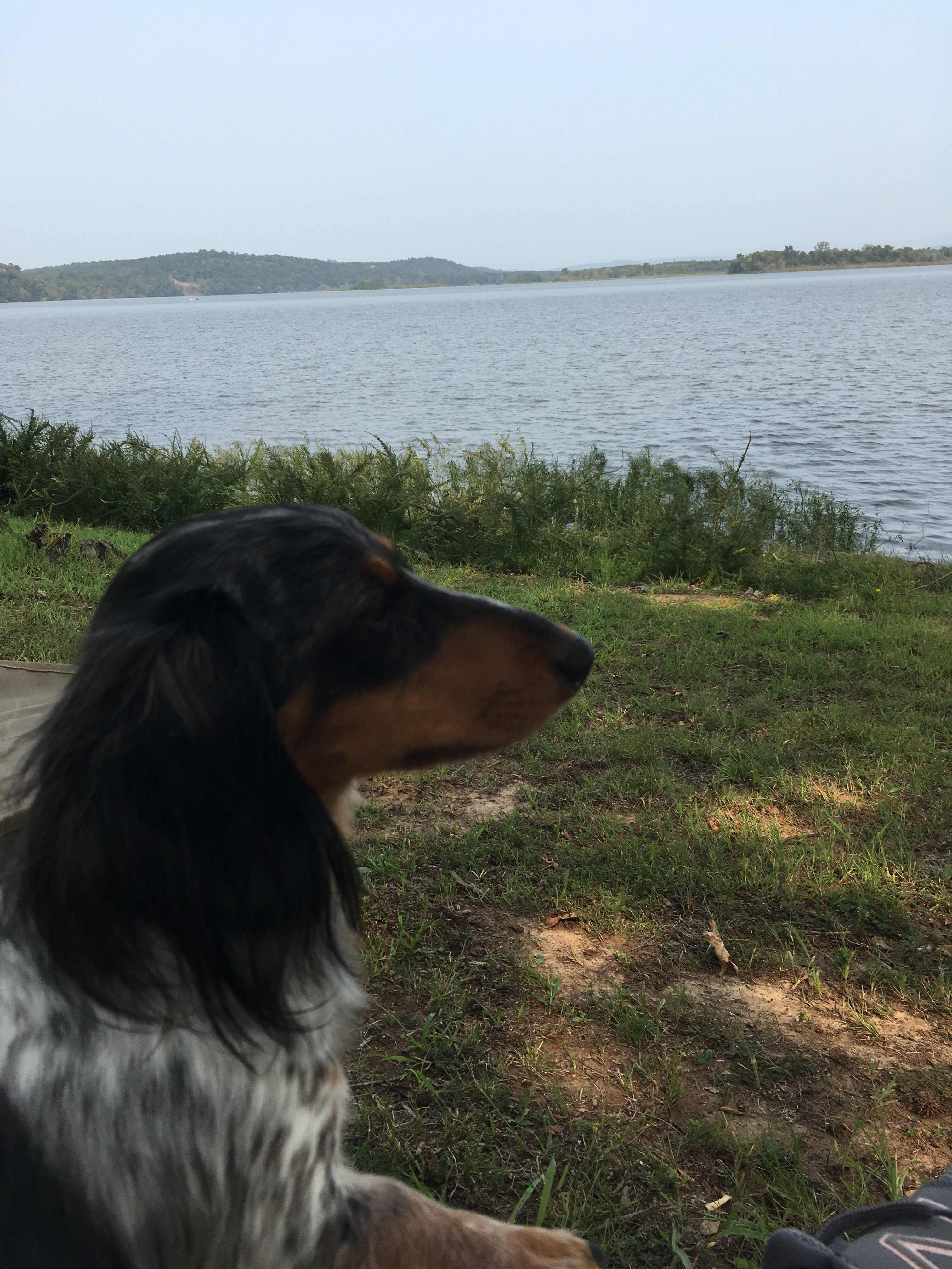 Piney Bay Campground
