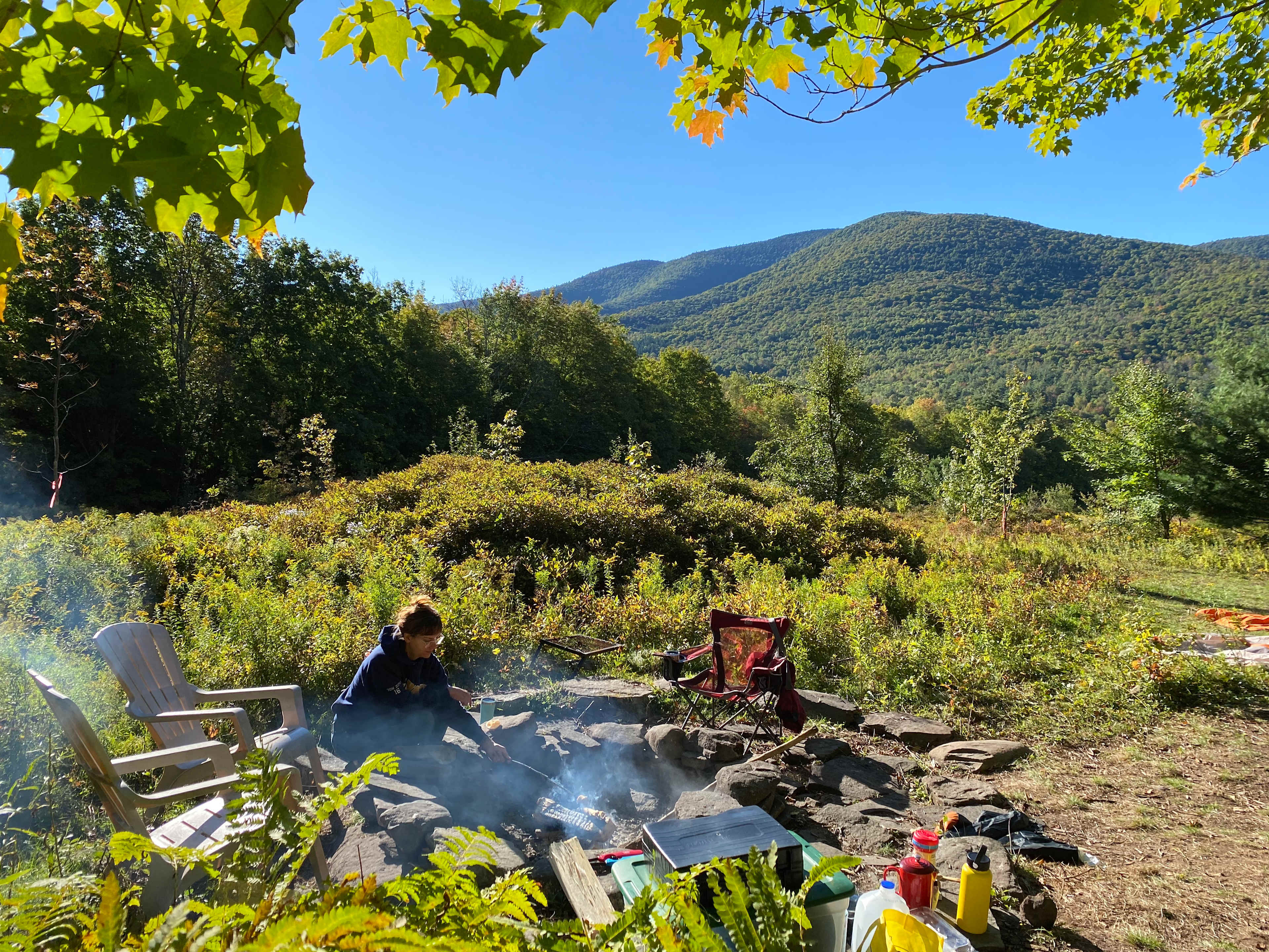 Picture of the site