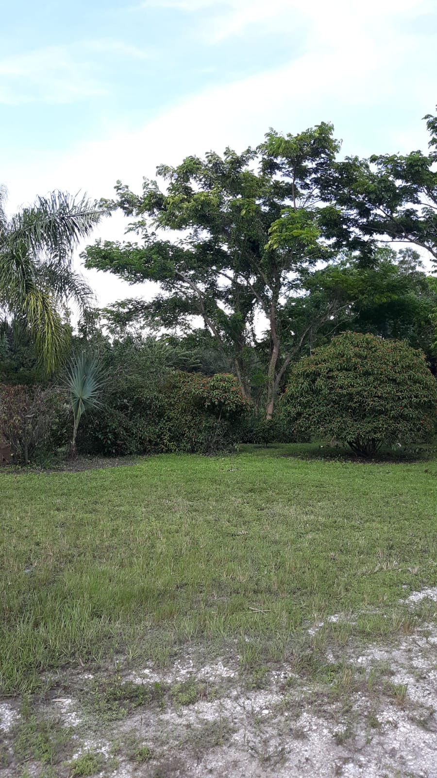 Punta Gorda Botanical Retreat